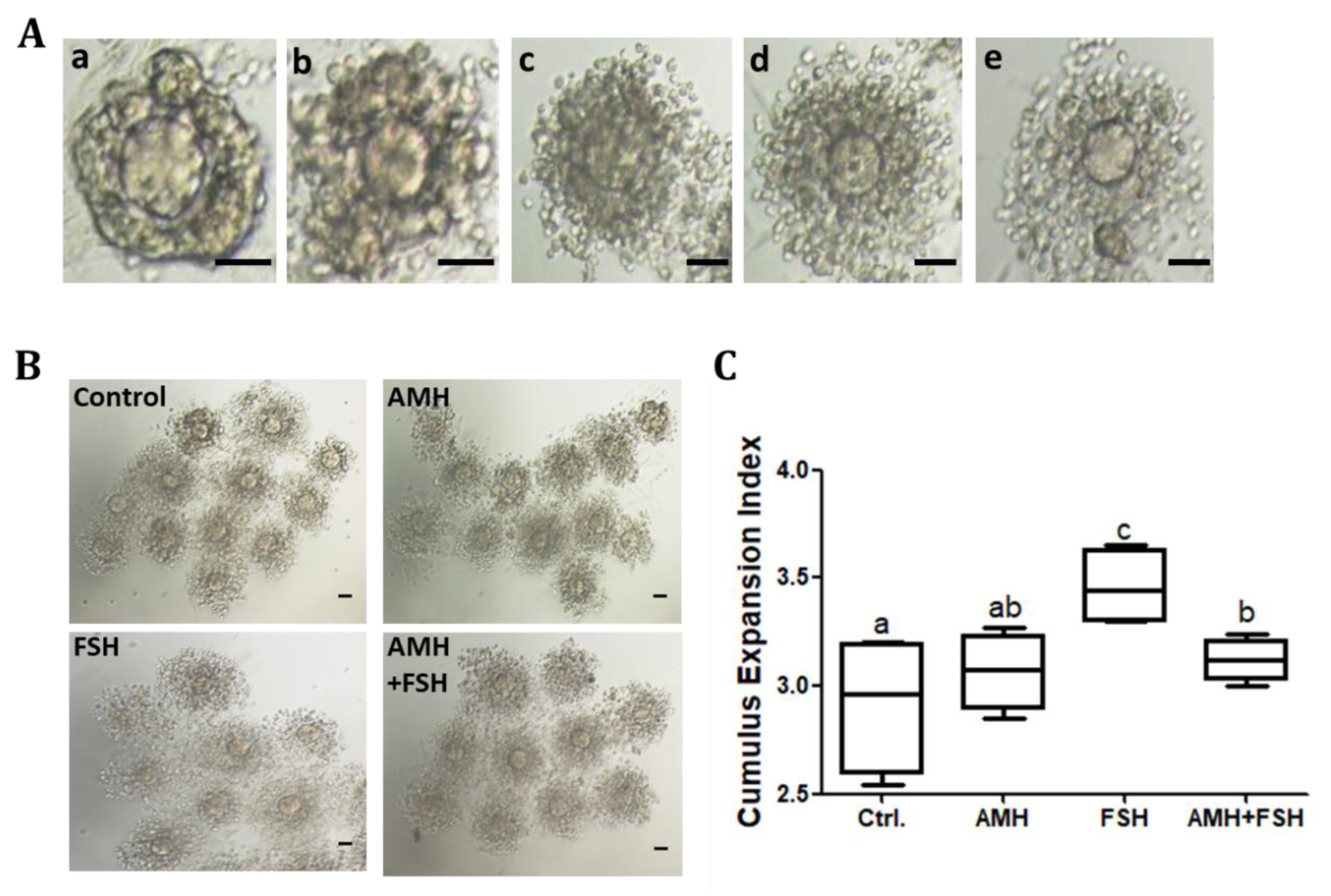 Animals 12 01209 g003