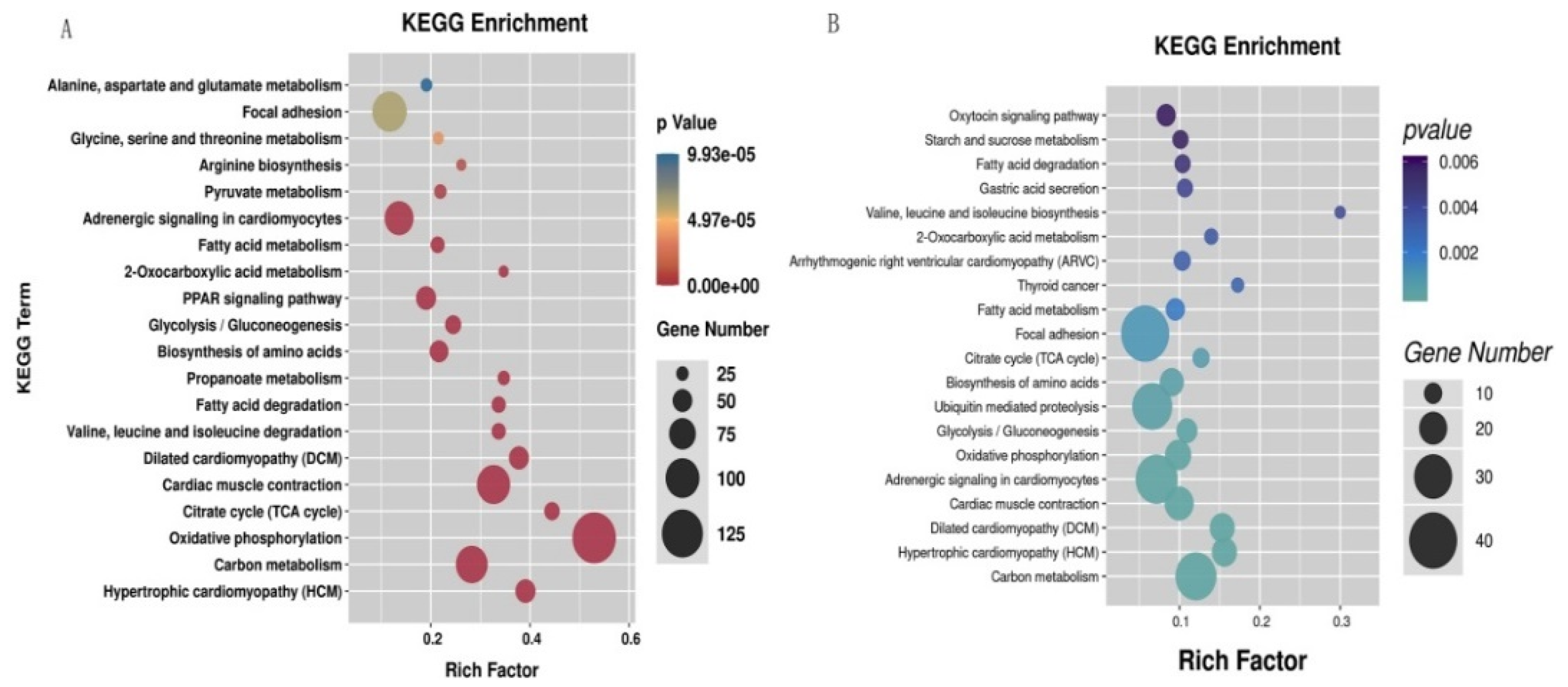 Animals 12 01265 g003
