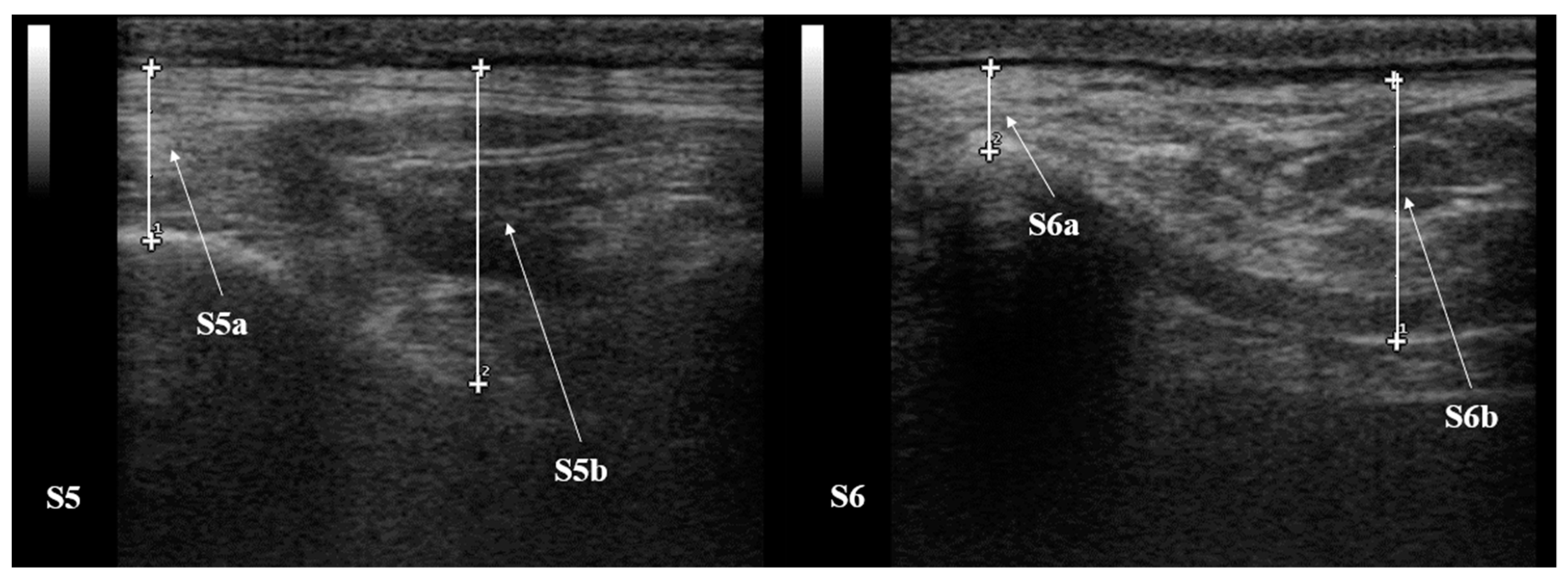 Animals 12 01359 g002