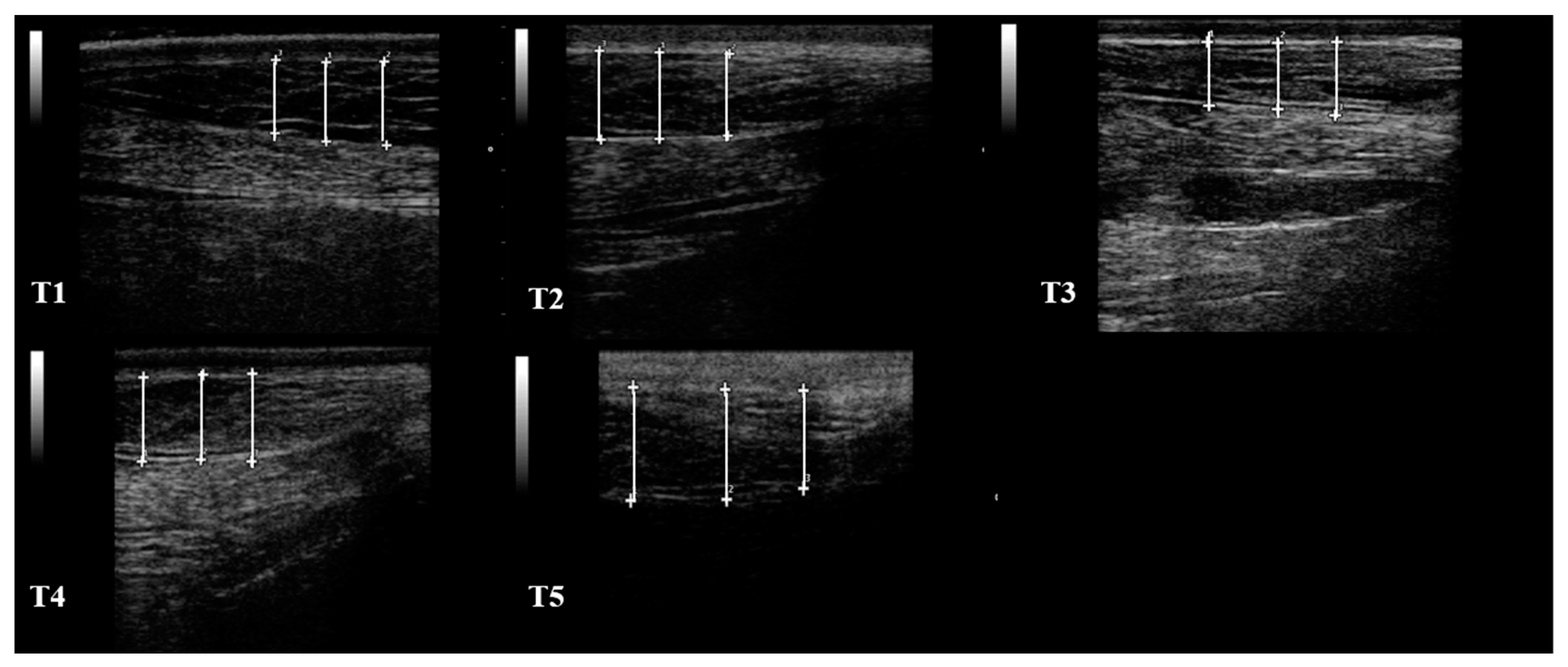 Animals 12 01359 g003