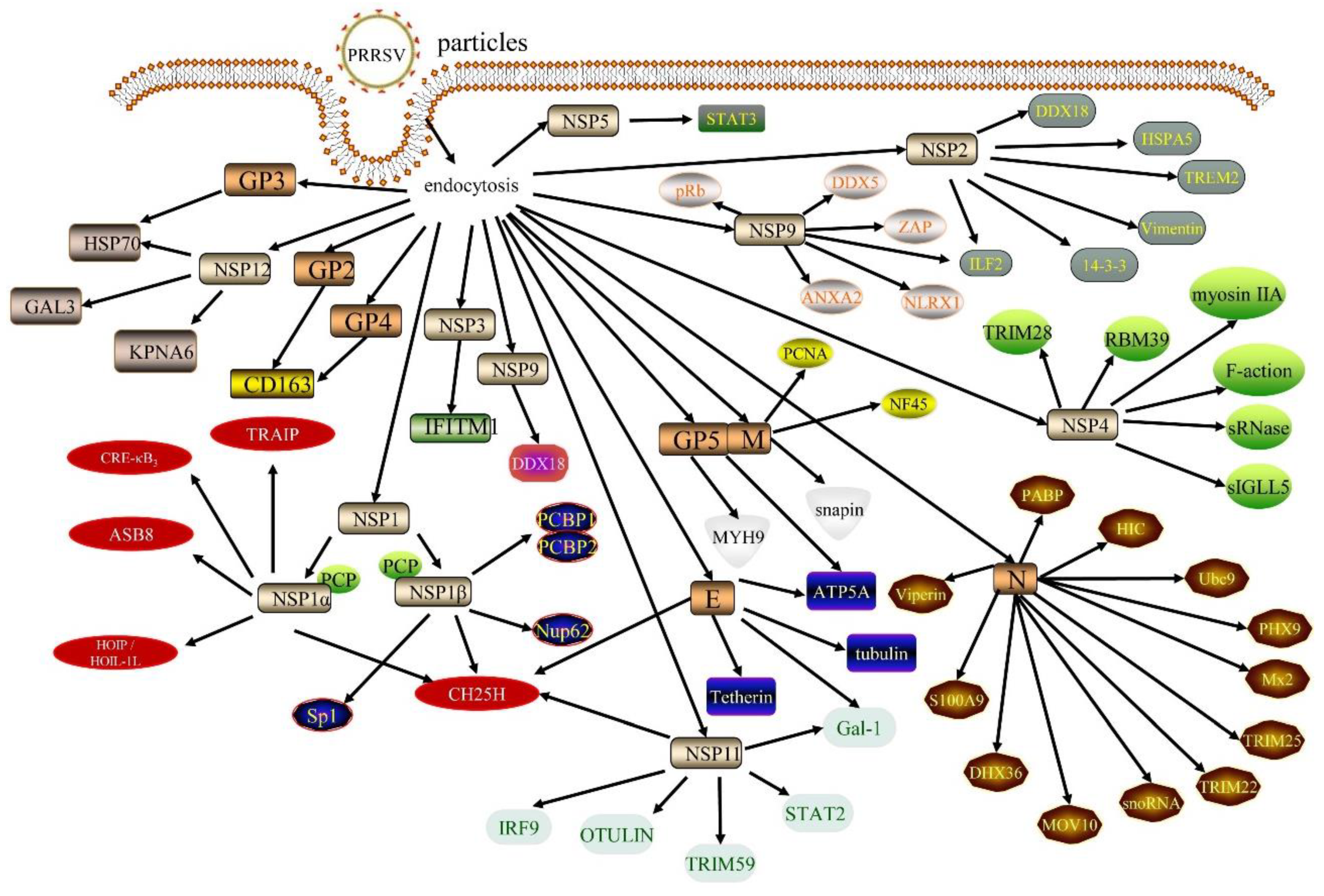 Animals 12 01381 g001