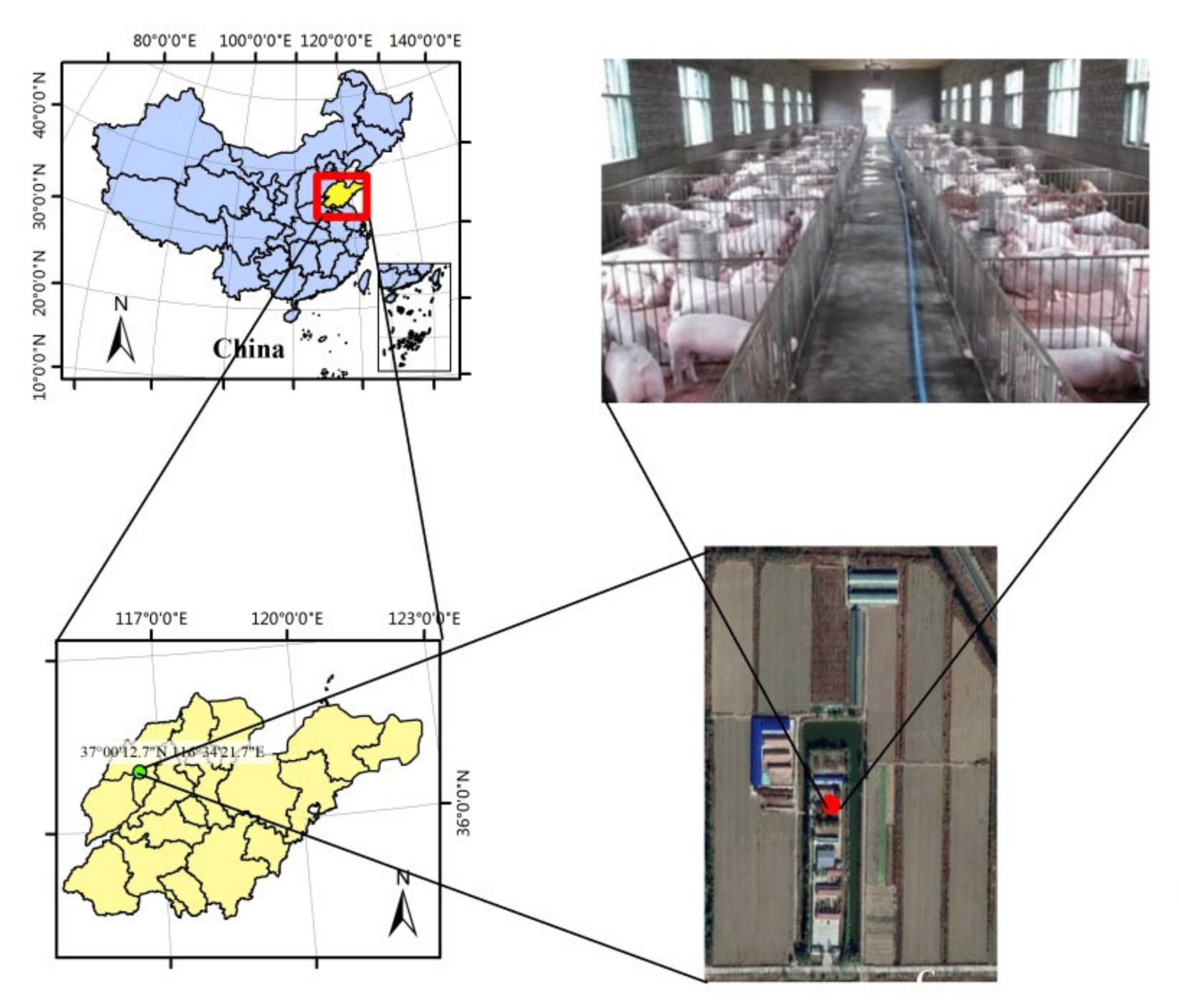 https://www.mdpi.com/animals/animals-12-01446/article_deploy/html/images/animals-12-01446-g001.png