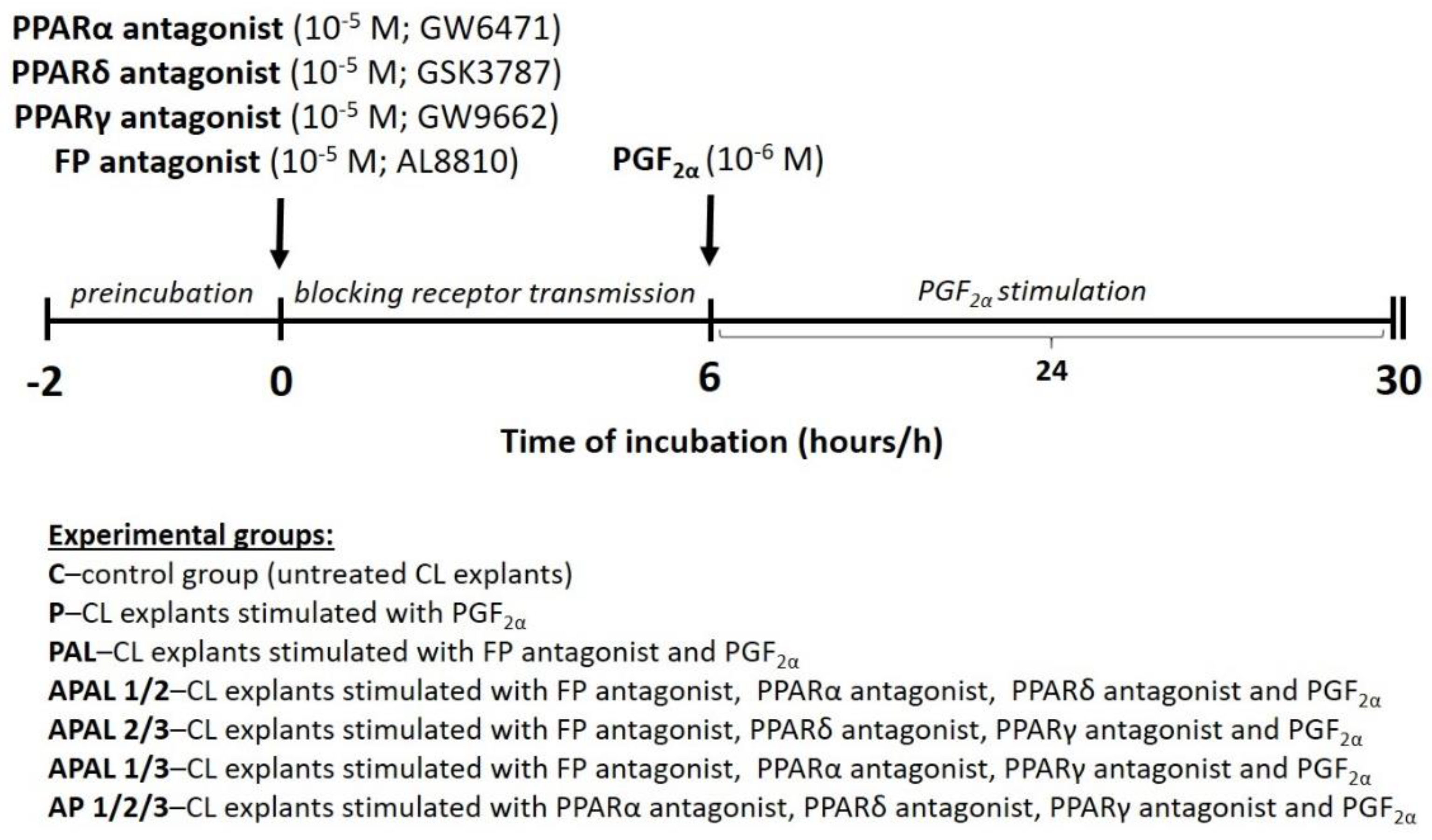 Animals 12 01542 sch001