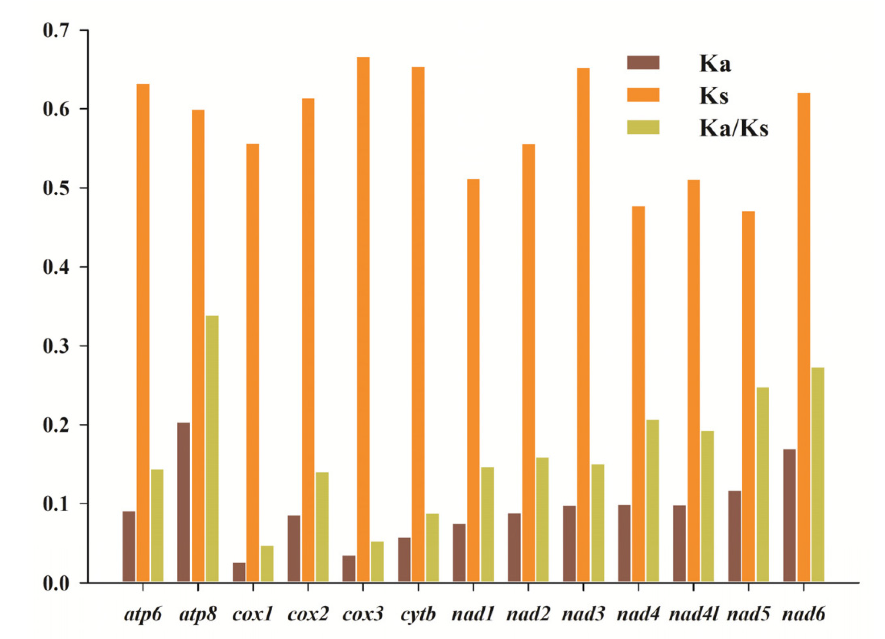 Animals 12 01595 g003