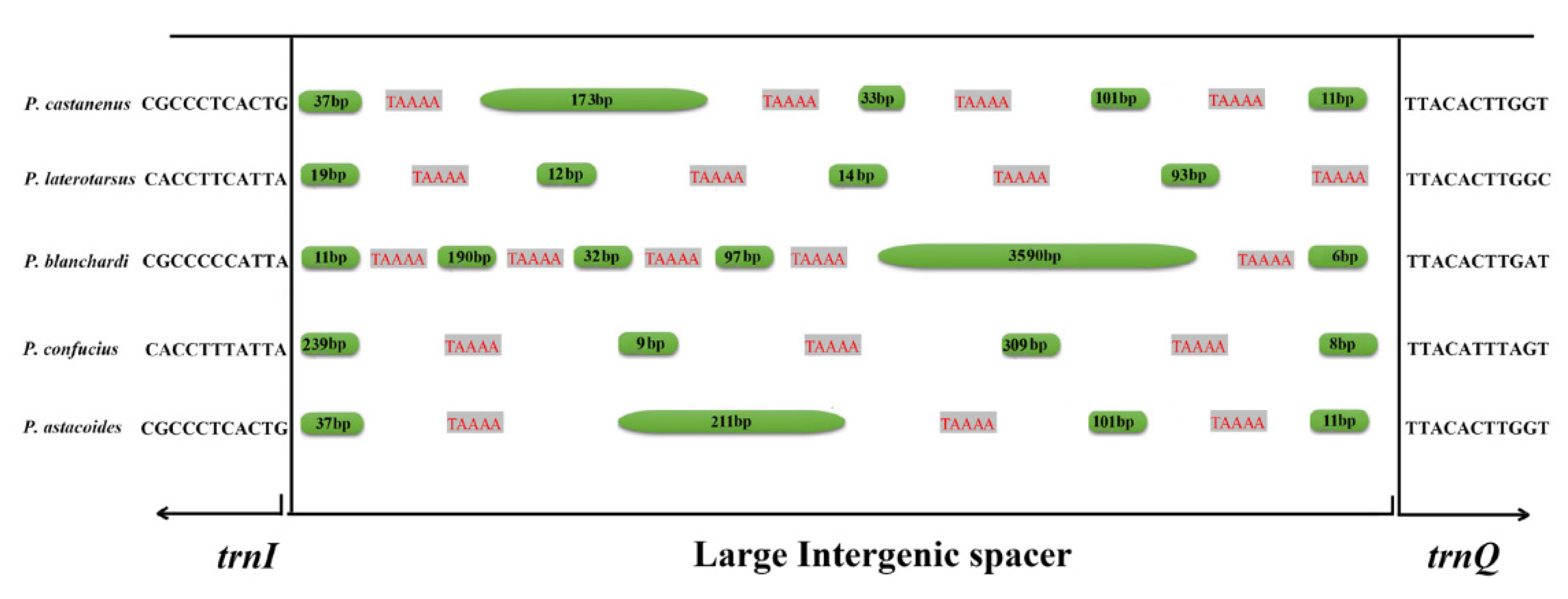 Animals 12 01595 g004