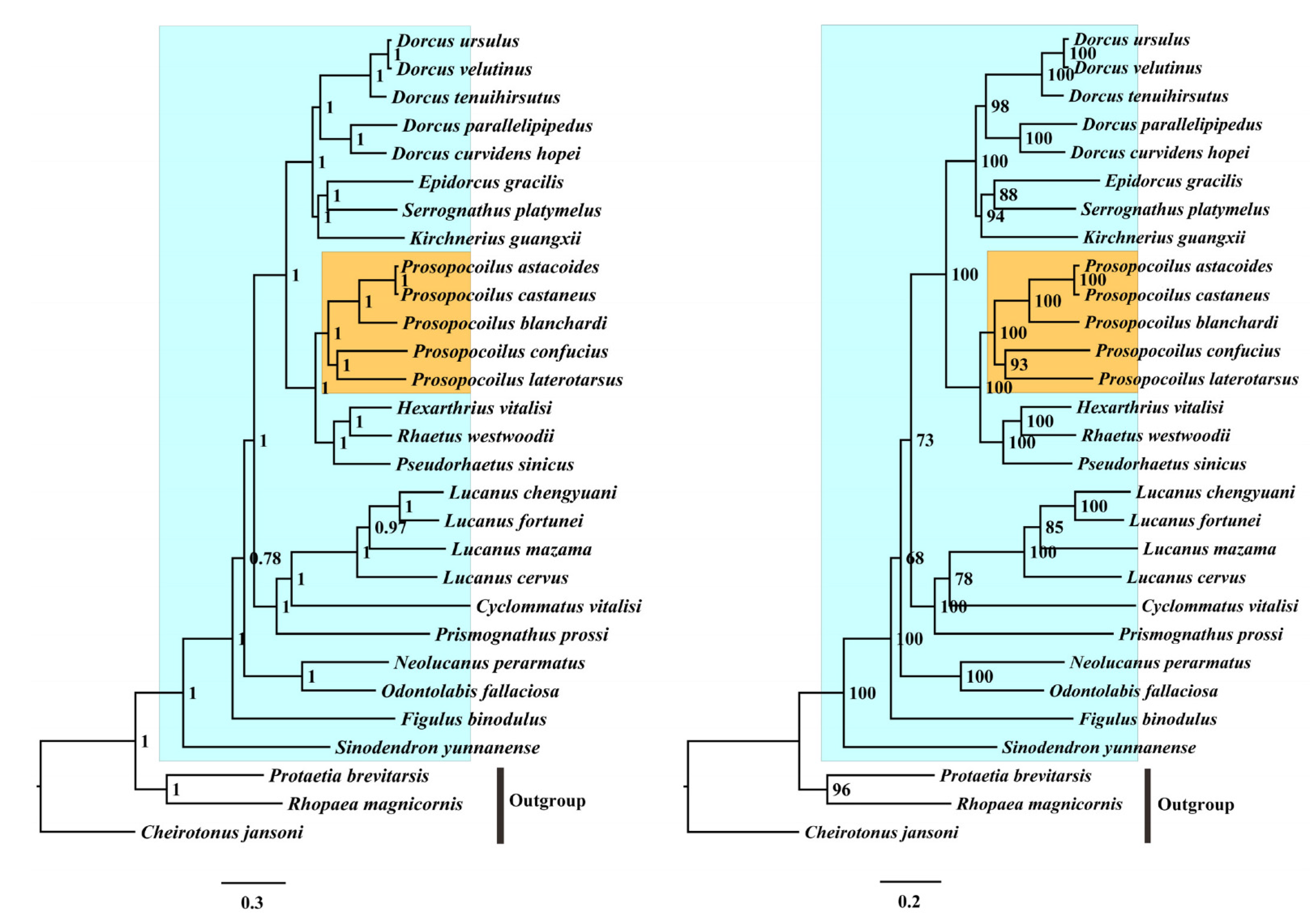 Animals 12 01595 g005