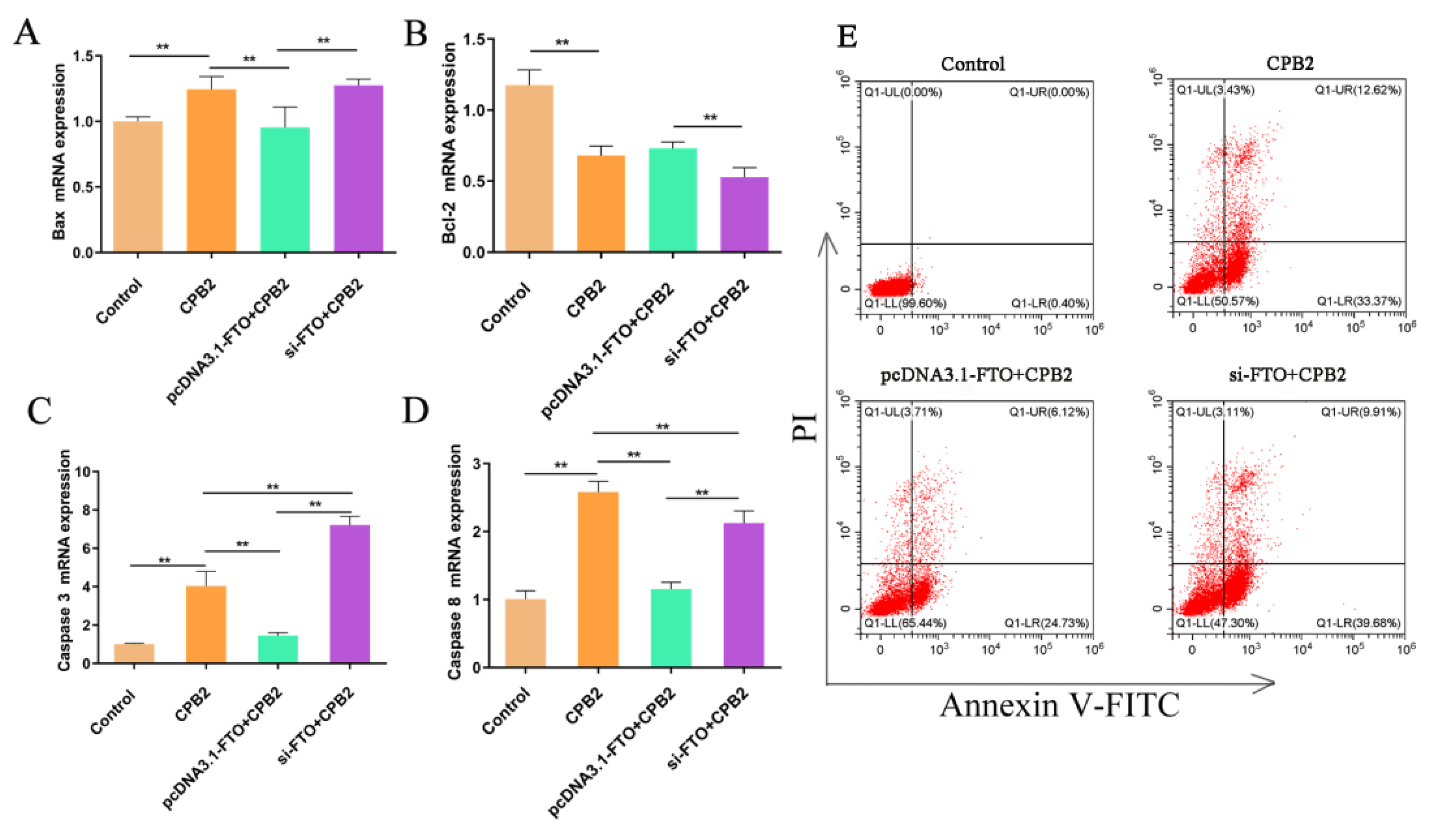 Animals 12 01644 g005 Animals 12 01644 g005