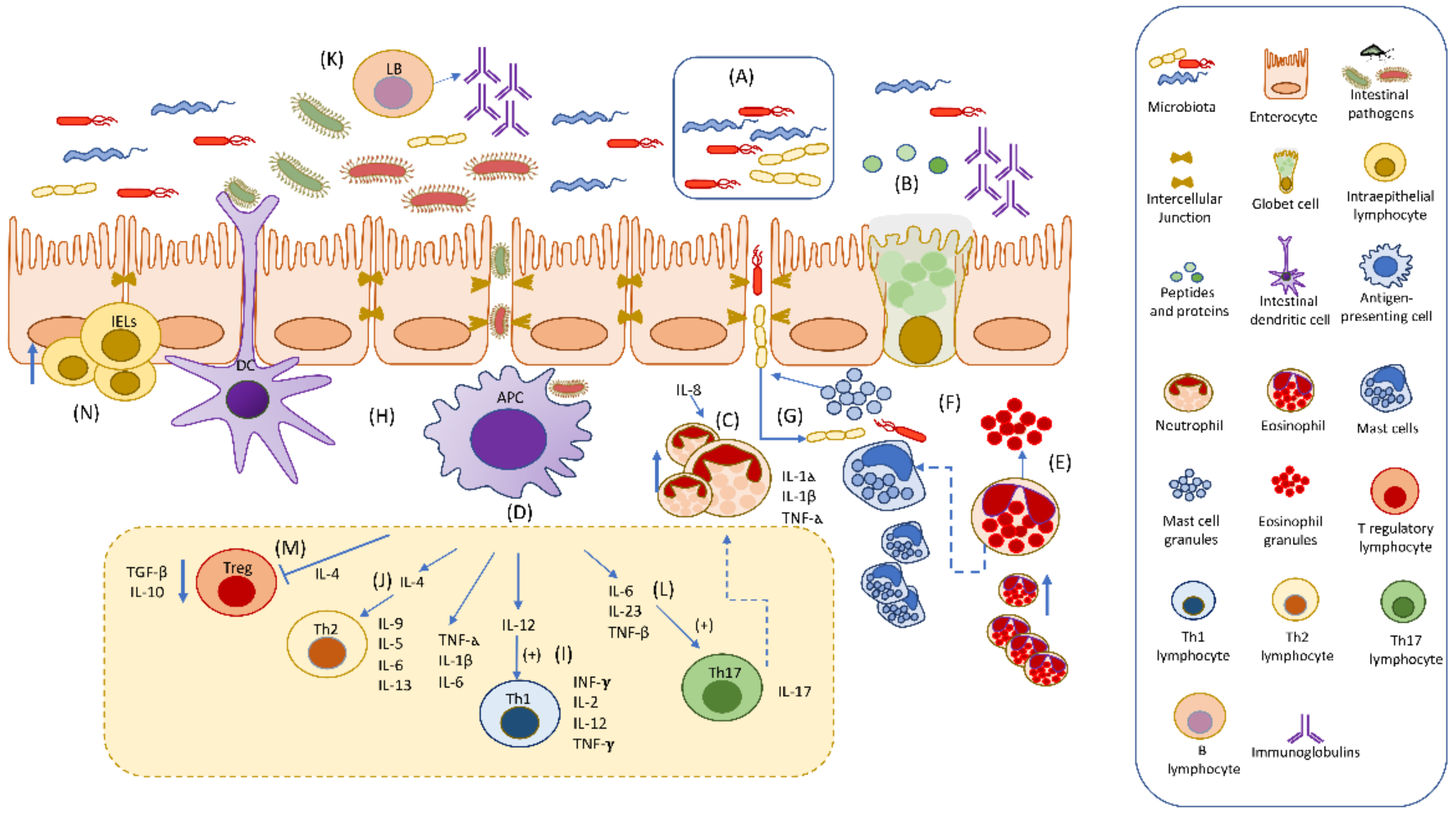 Animals 12 01645 g001