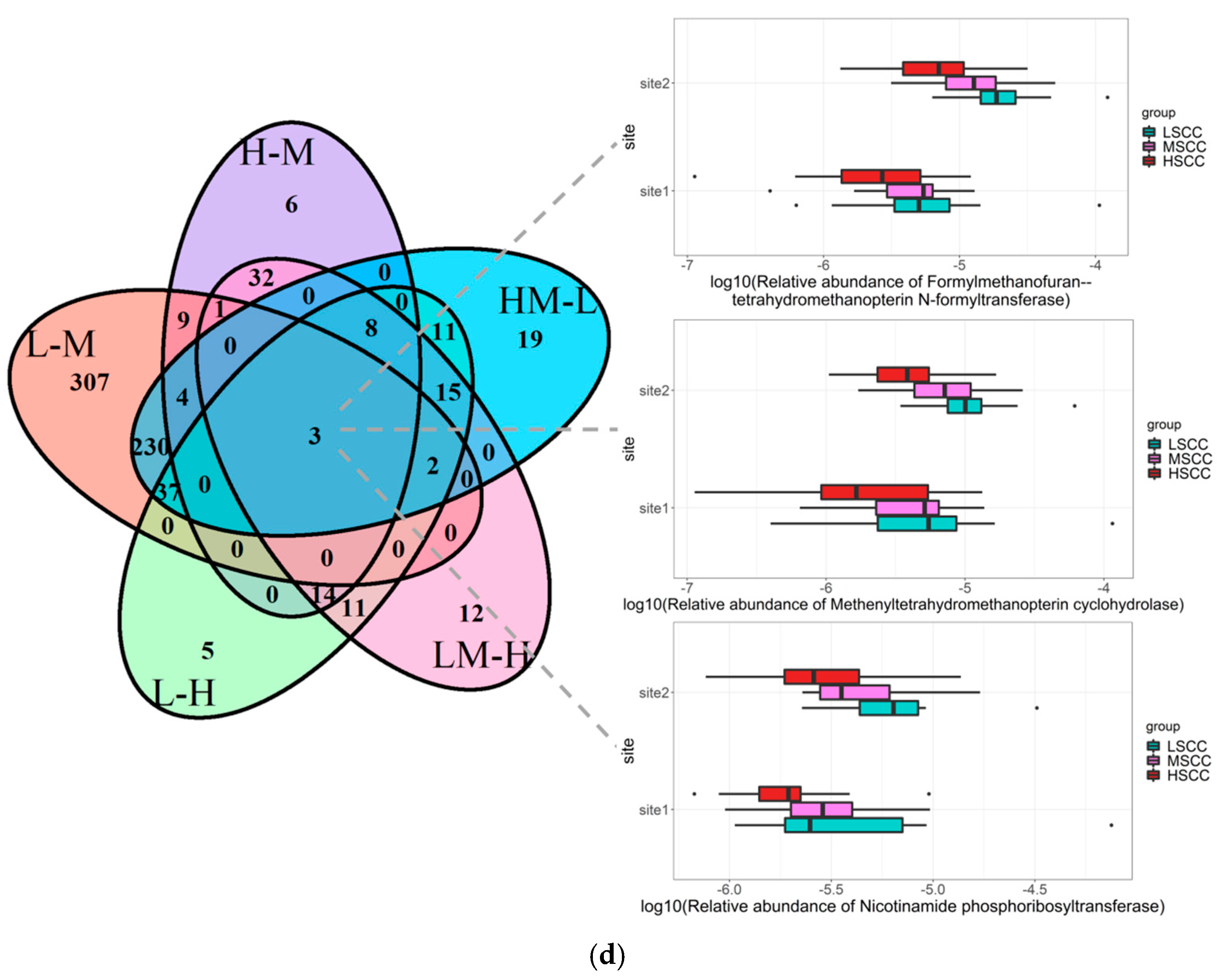 Animals 12 01694 g004b