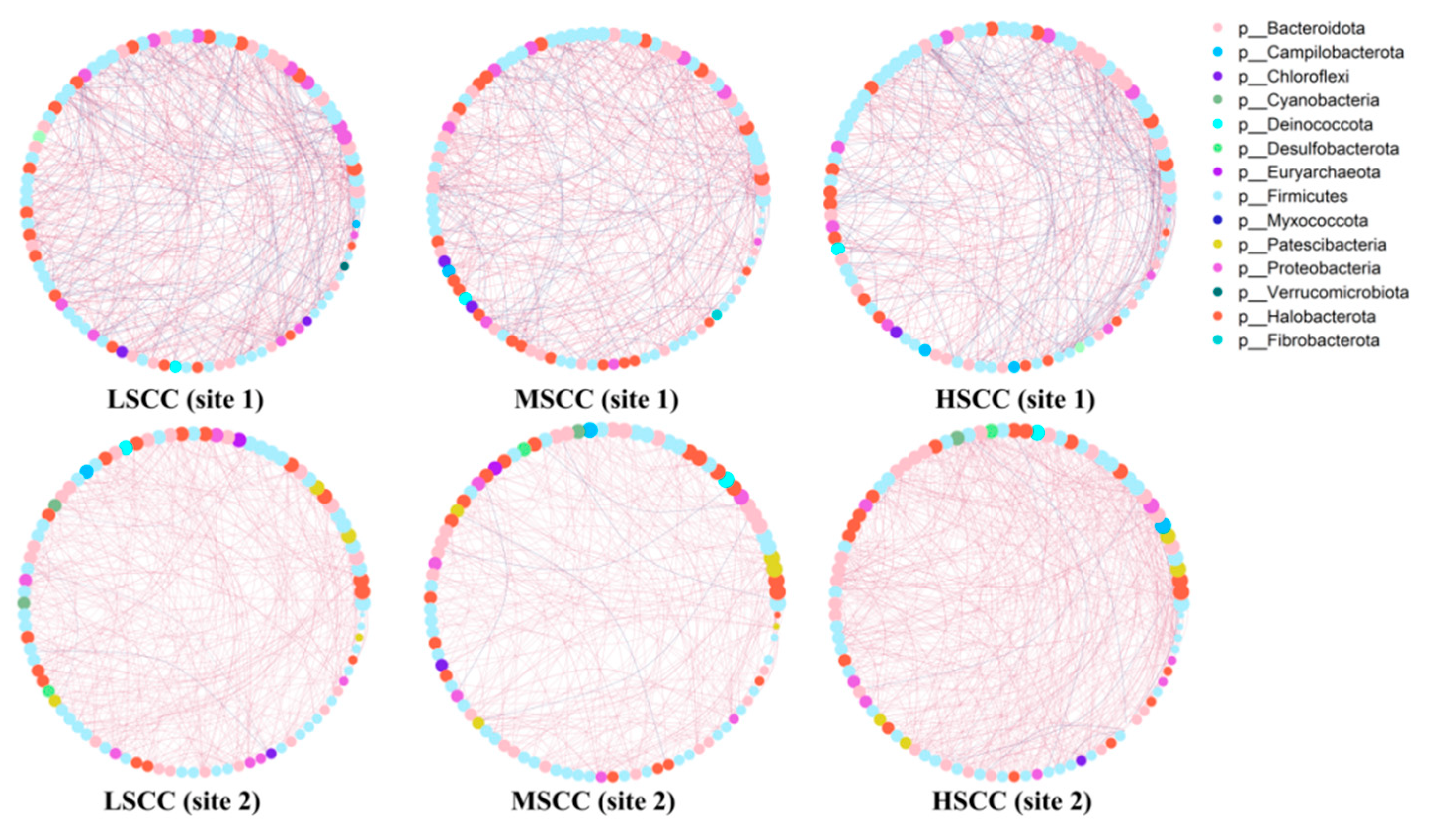 Animals 12 01694 g005