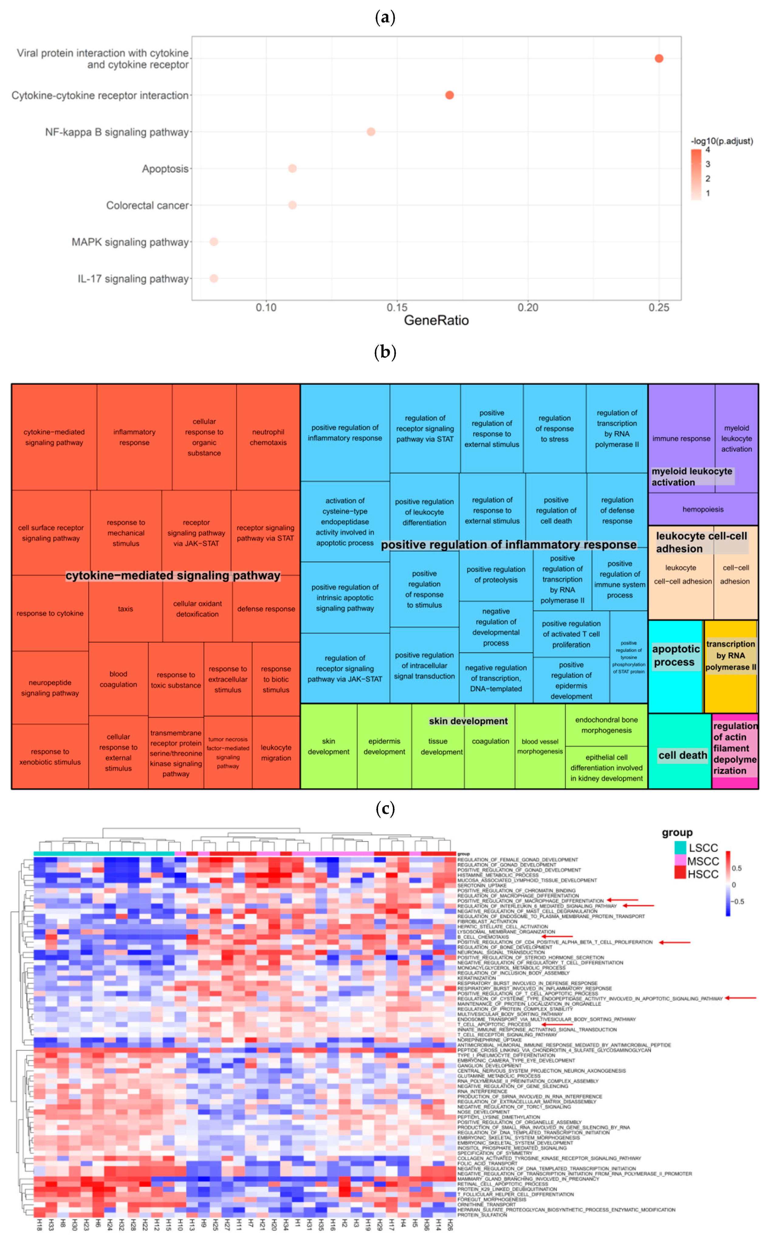 Animals 12 01694 g007