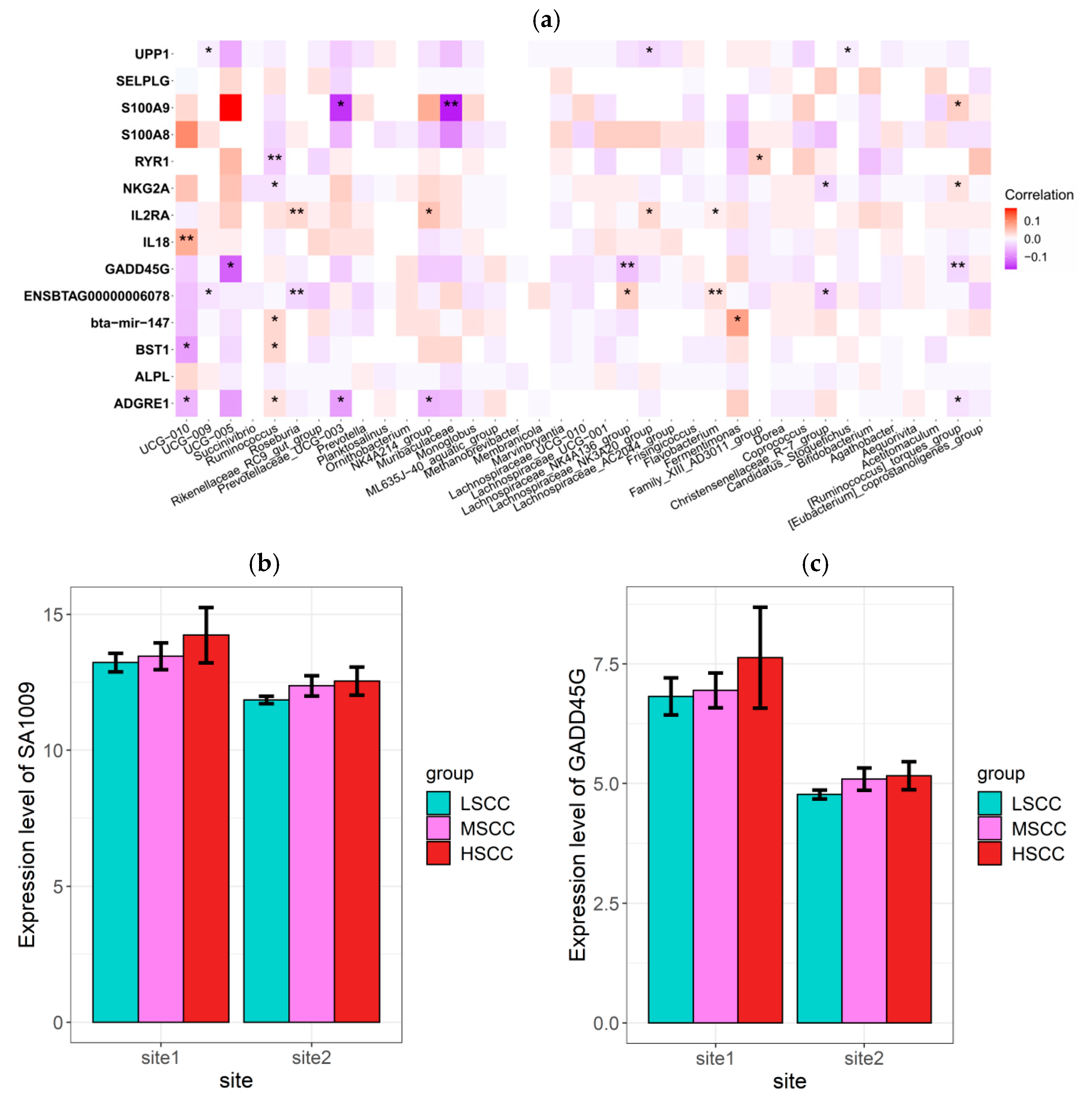 Animals 12 01694 g008