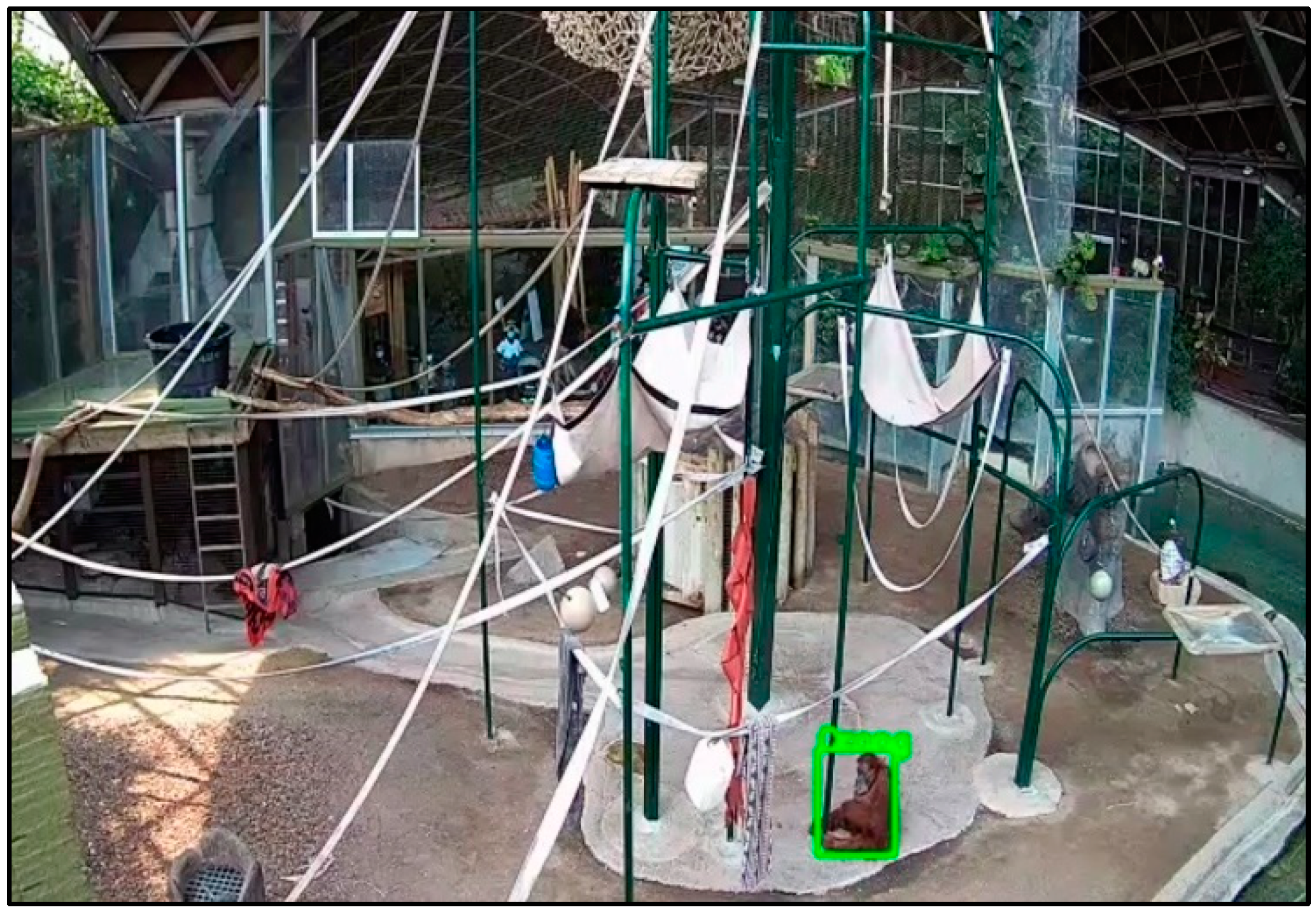 Animals 12 01711 g006