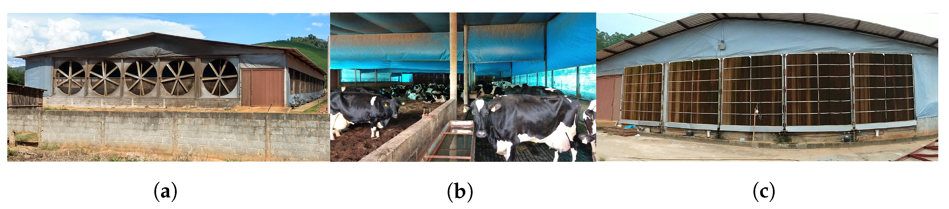 Animals 12 01776 g001