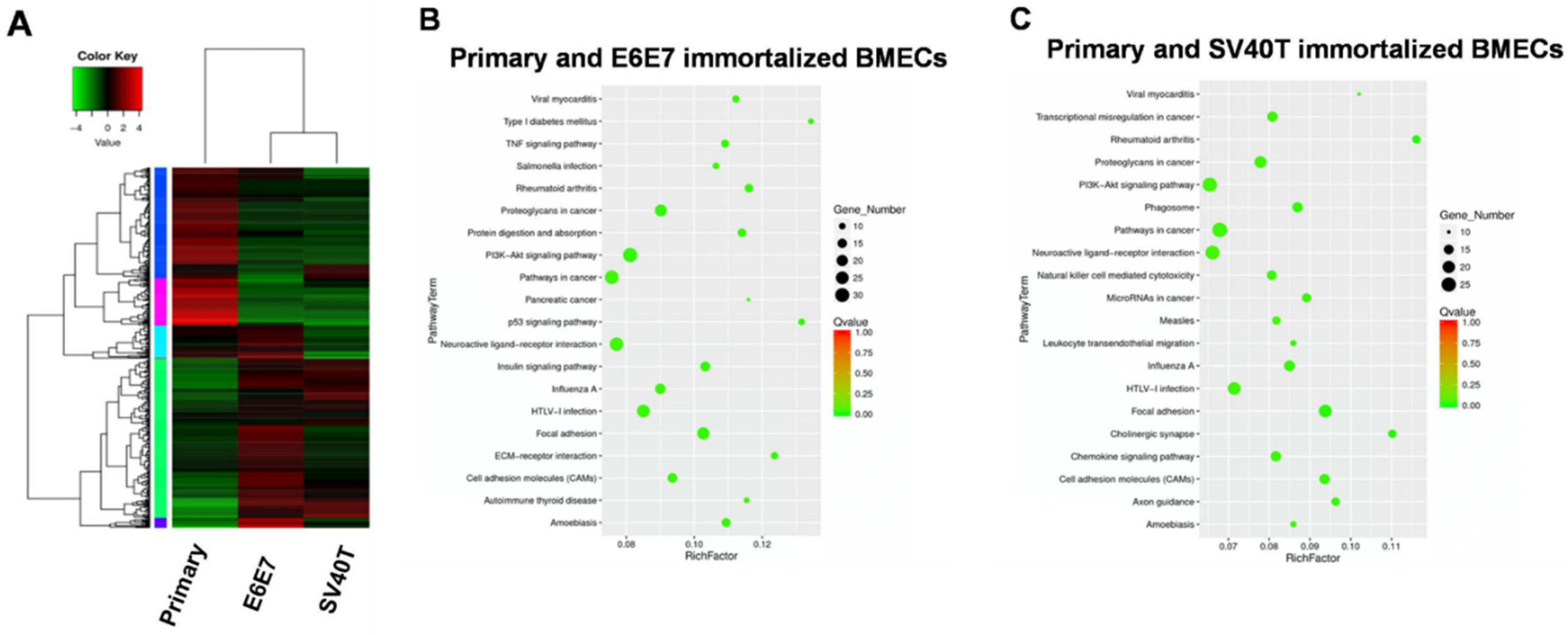 Animals 12 01790 g002