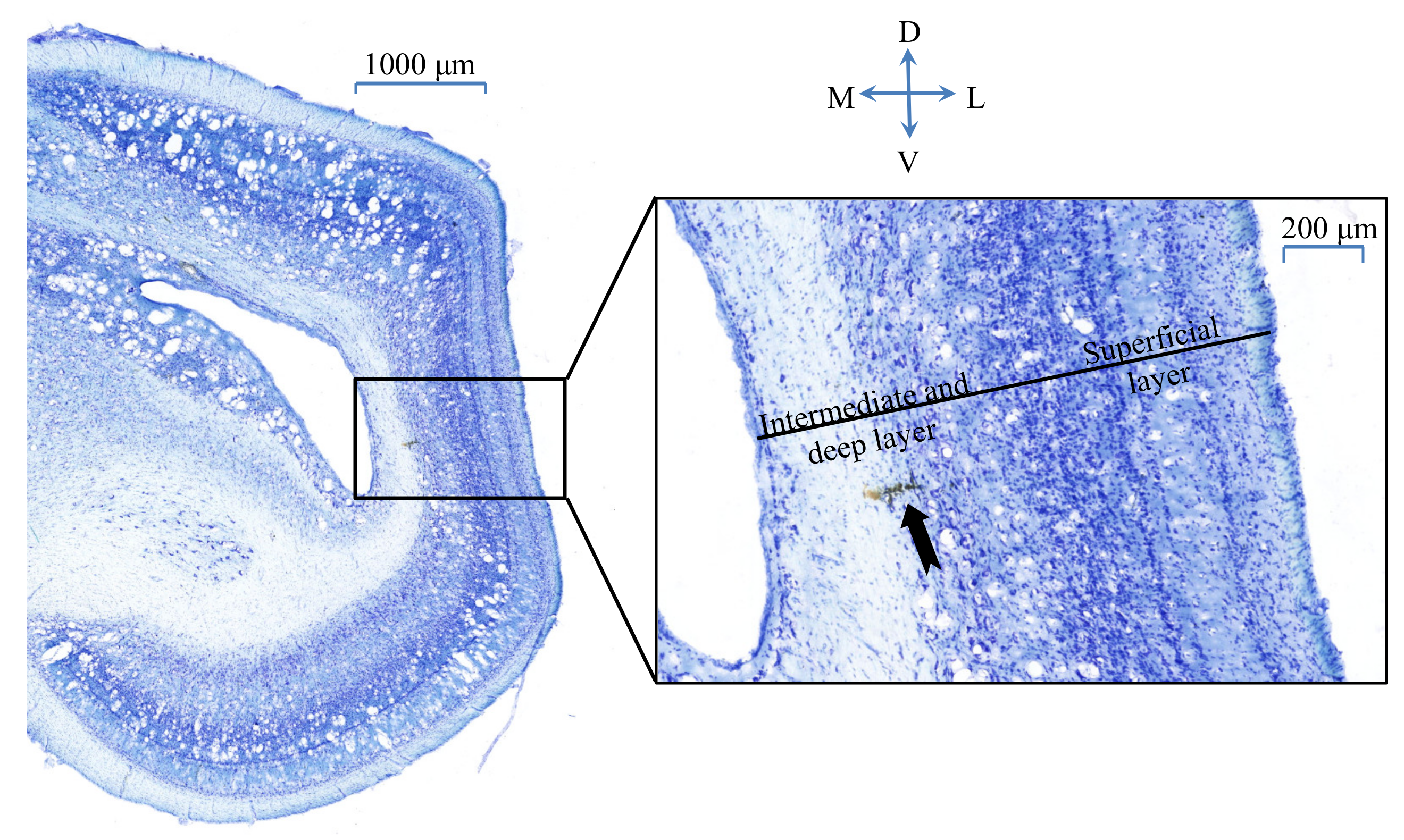 Animals 12 01798 g002