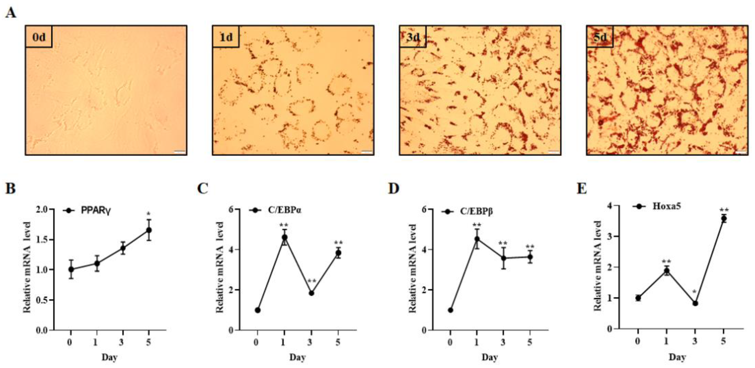 Animals 12 01859 g001