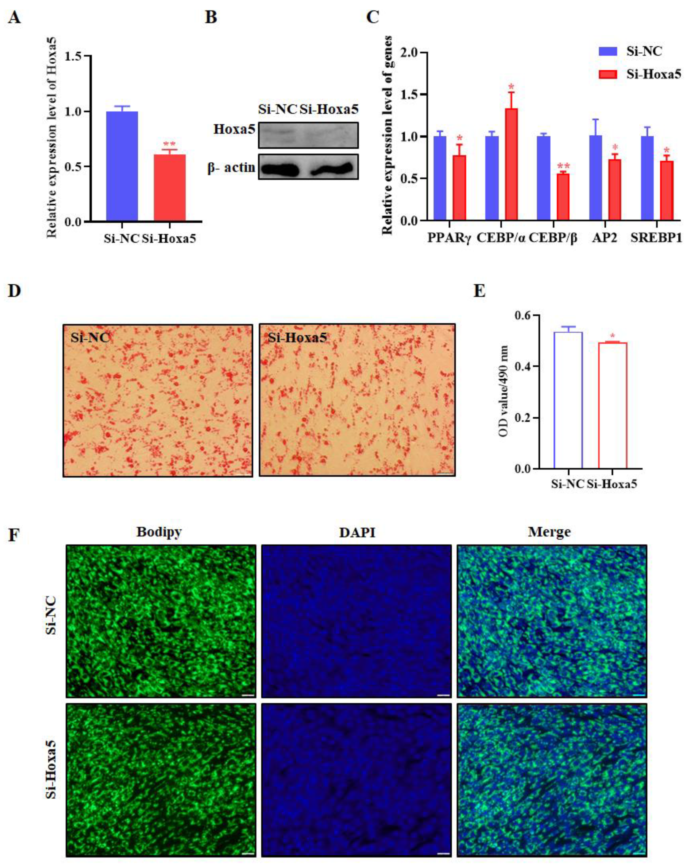 Animals 12 01859 g003