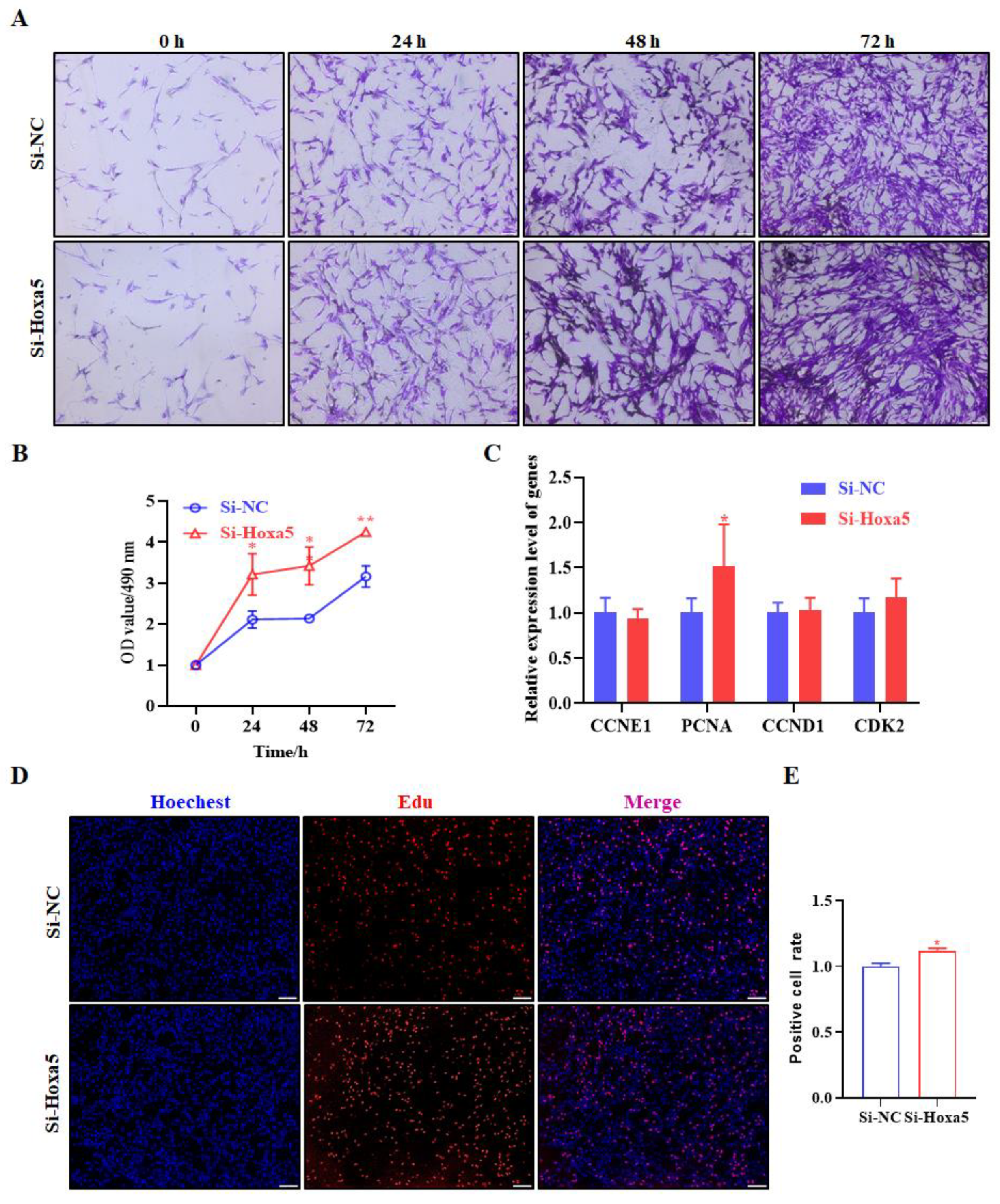 Animals 12 01859 g005