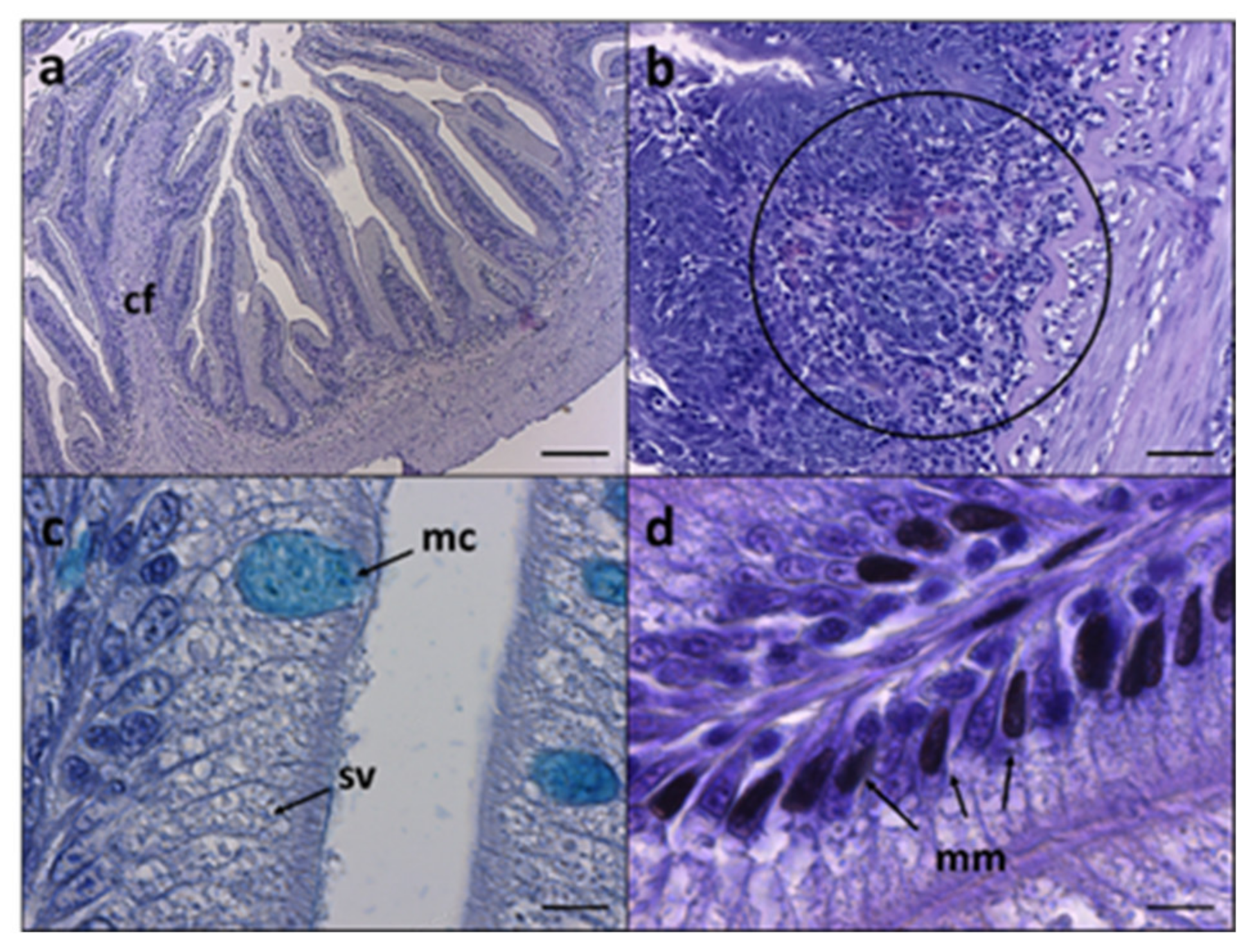 Animals 12 01918 g001