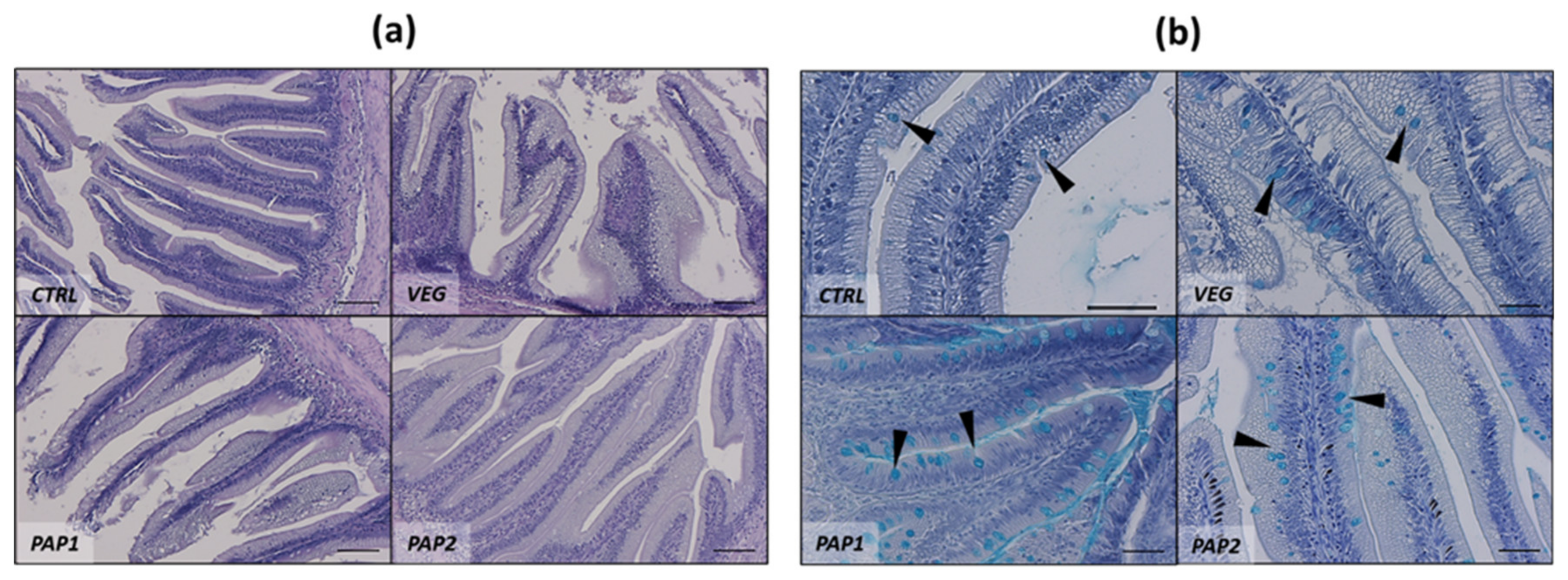Animals 12 01918 g002