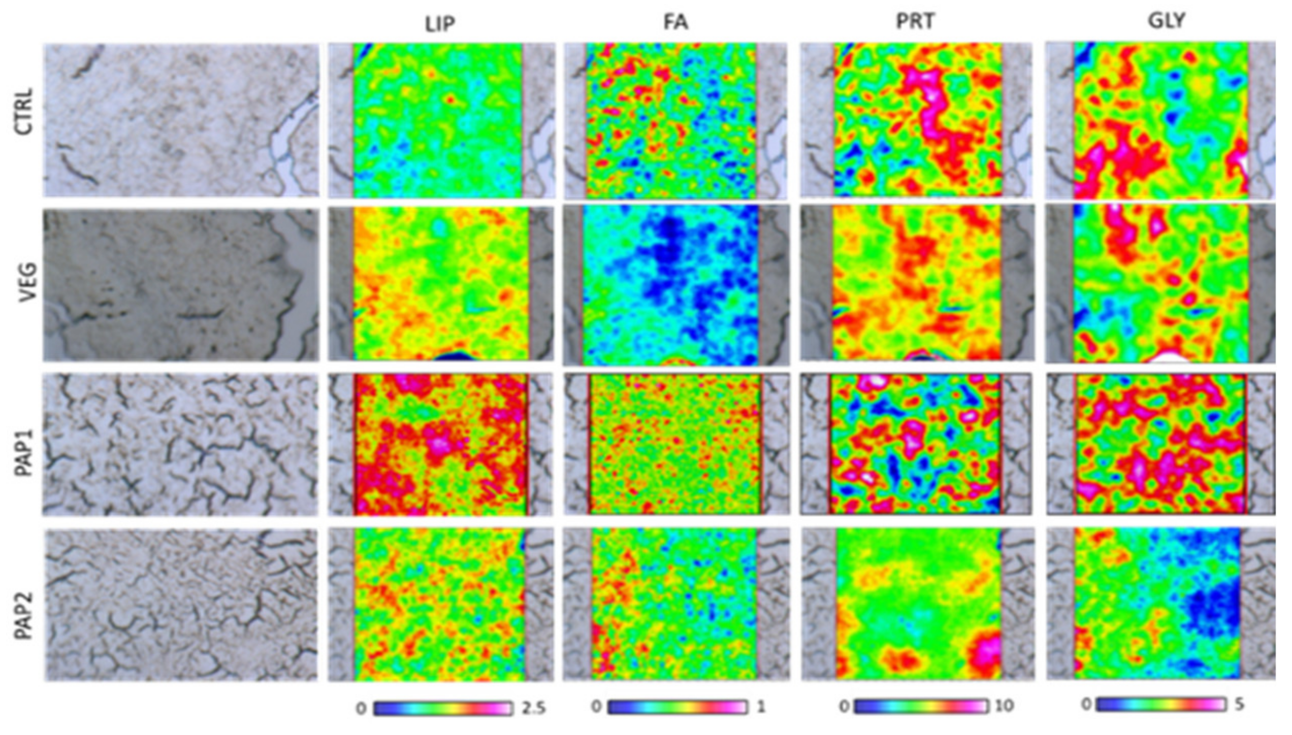 Animals 12 01918 g004