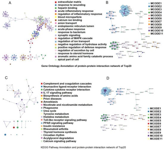 Animals | Free Full-Text | Plateau Adaptation Gene Analyses Reveal 