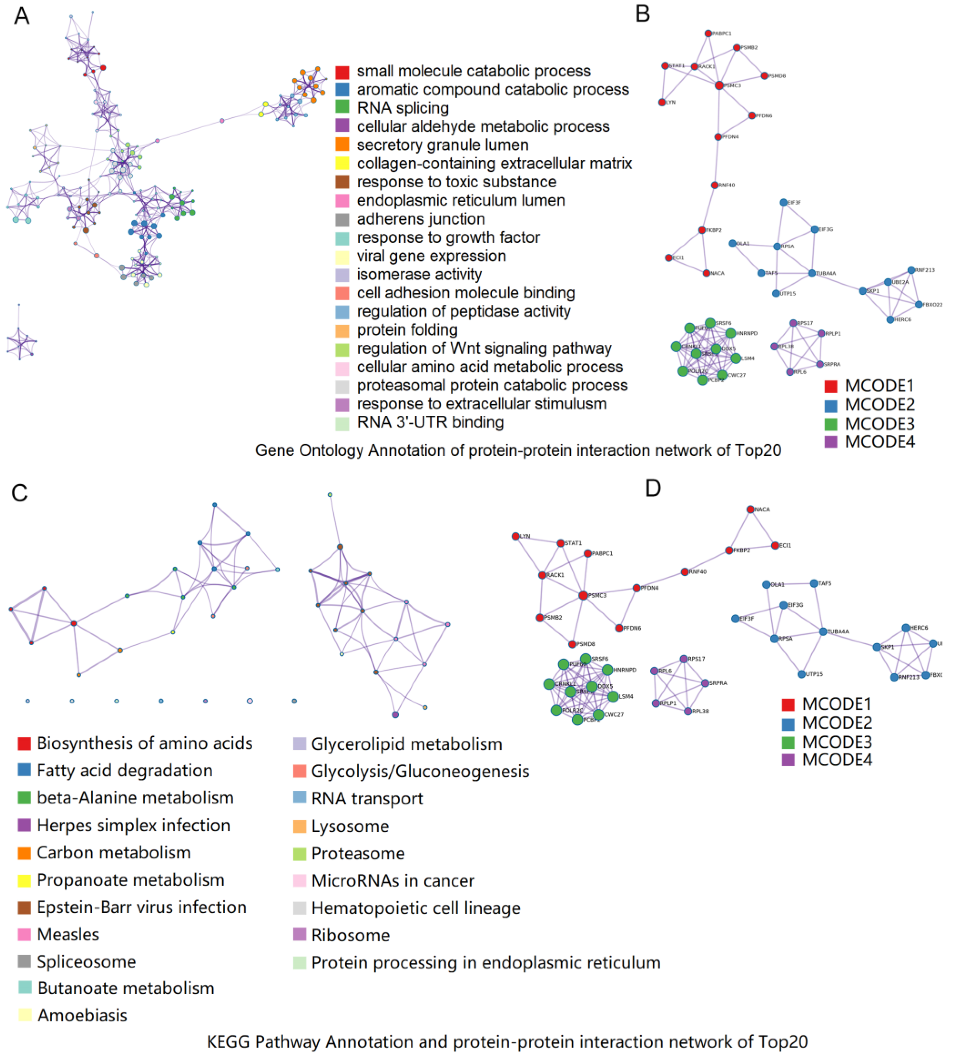 Animals 12 01919 g005