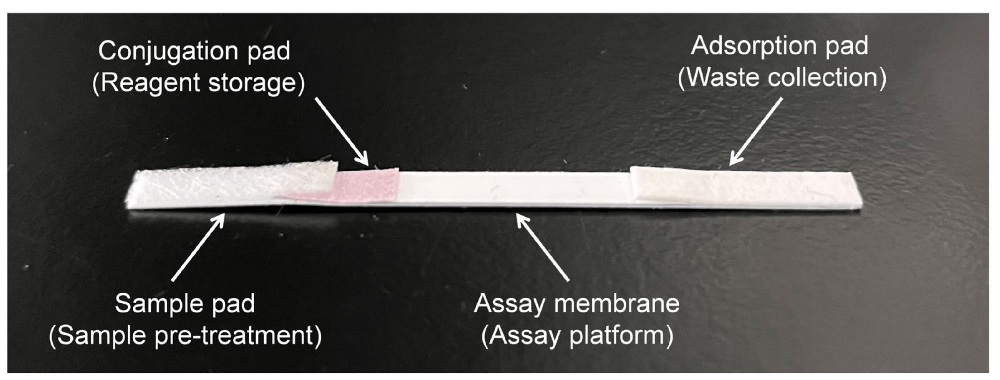 Animals 12 01929 g001