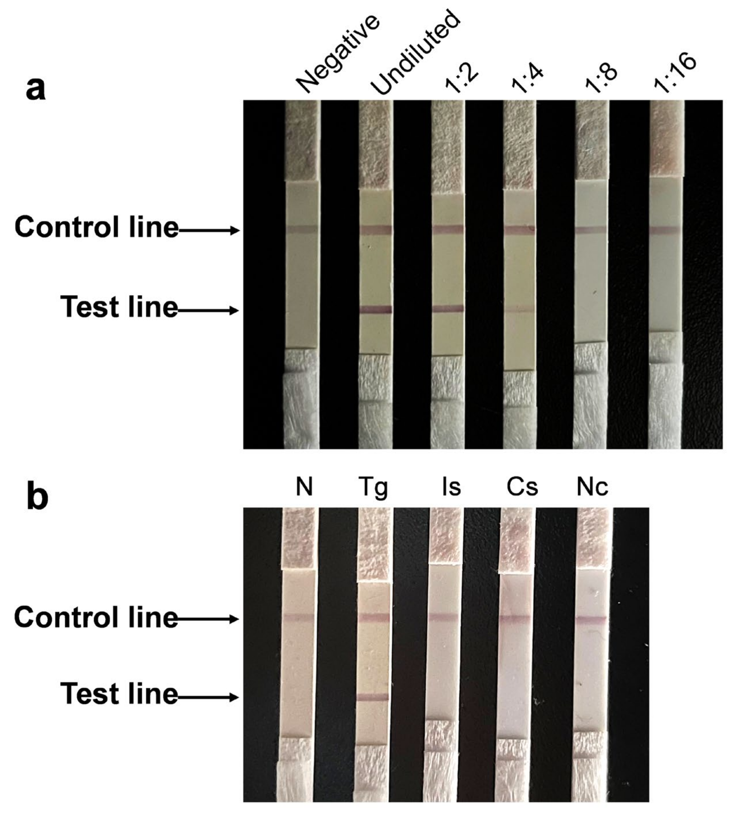 Animals 12 01929 g004