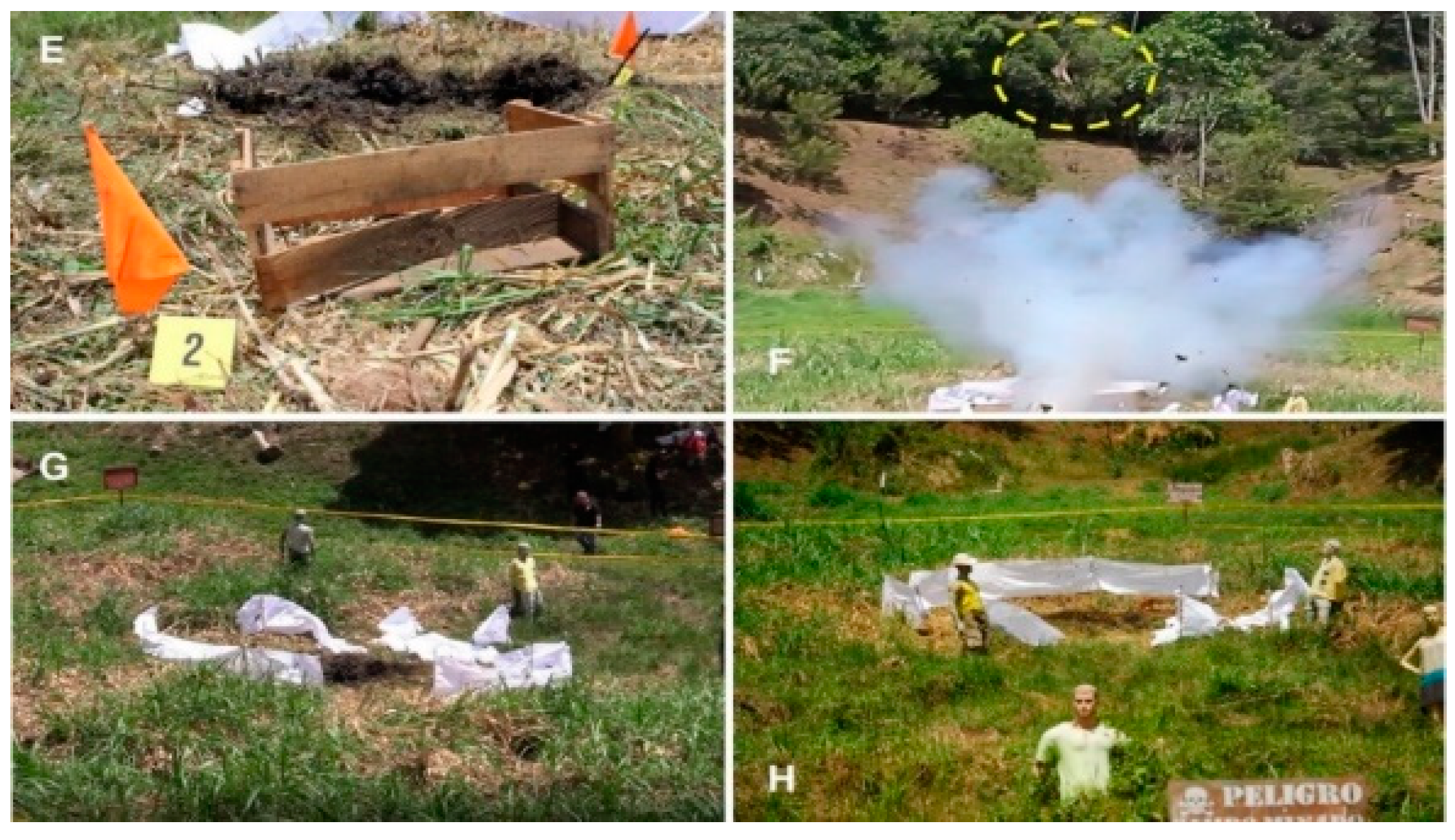 Animals 12 01938 g005b Animals 12 01938 g005b