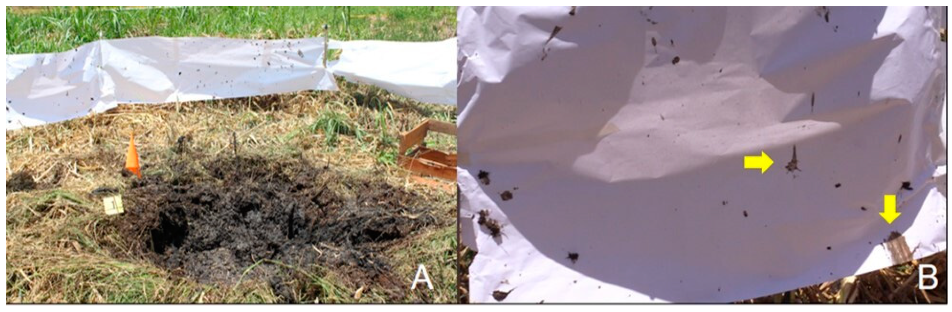 Animals 12 01938 g006 Animals 12 01938 g006