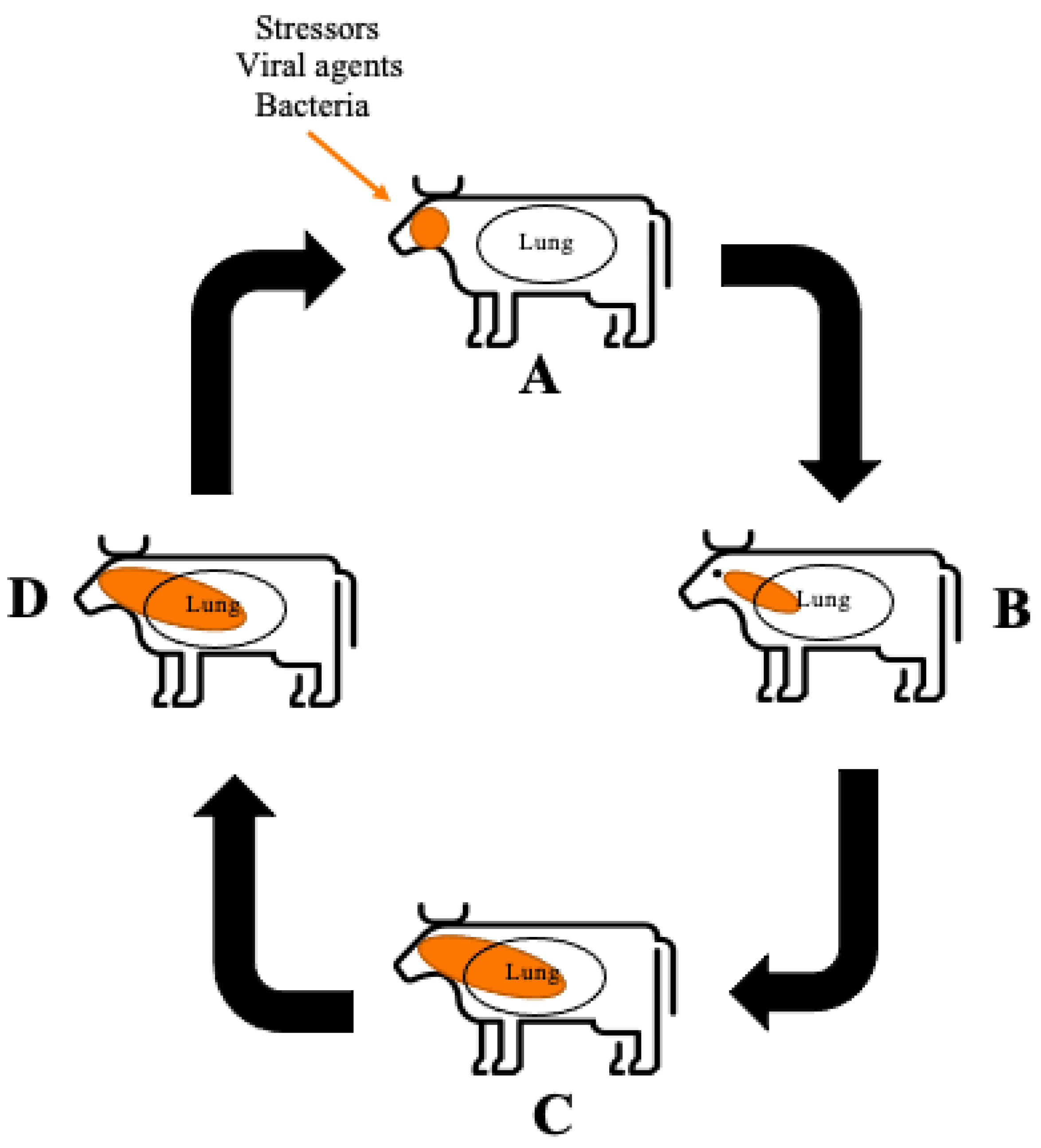 Animals 12 01943 g001
