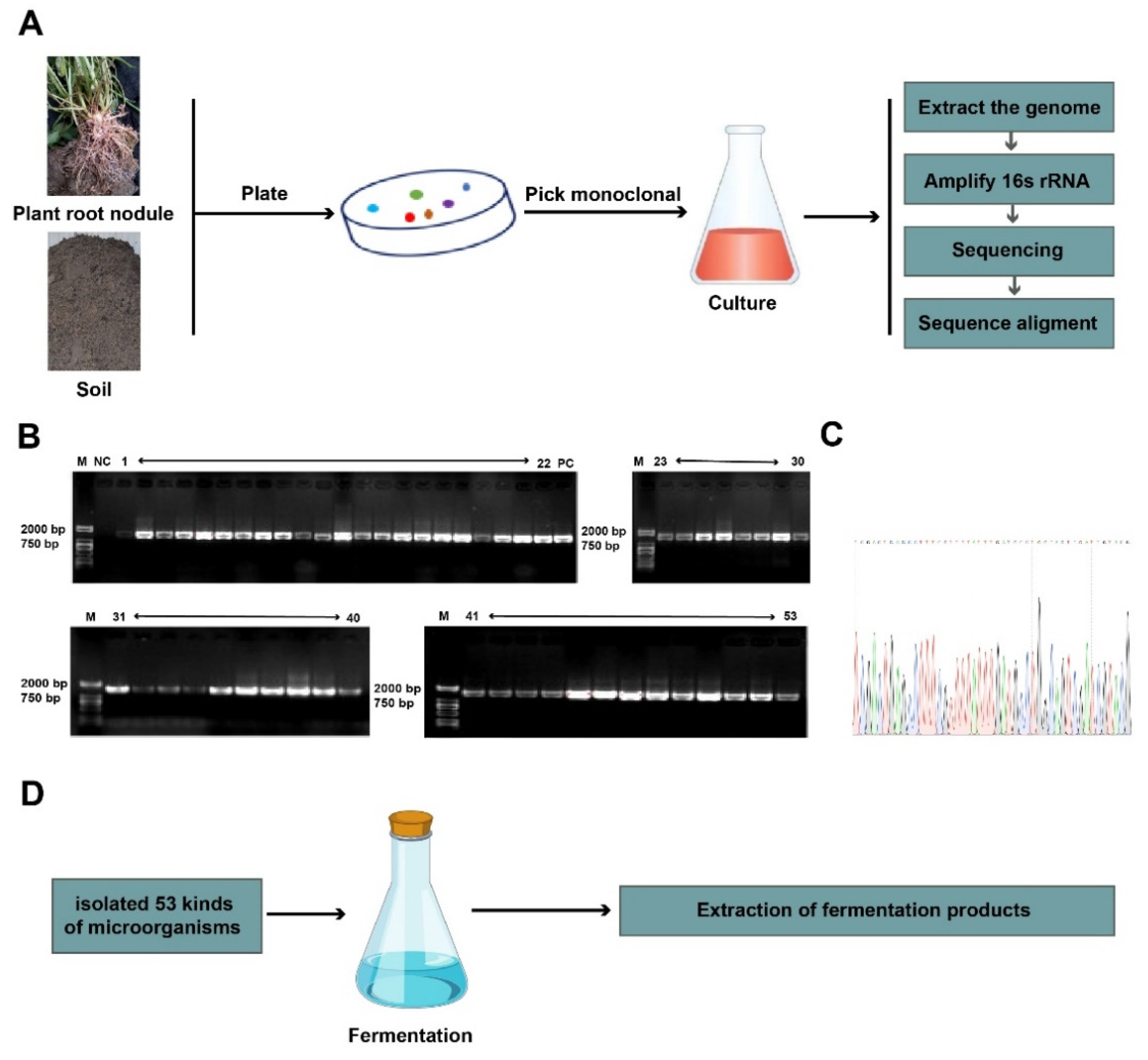 Animals 12 01947 g001