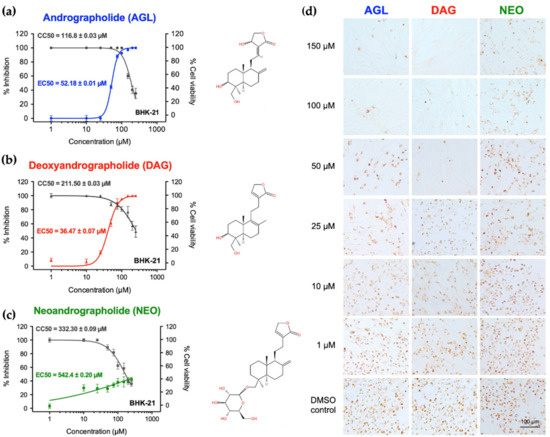 Animals Free Full Text Andrographolide and