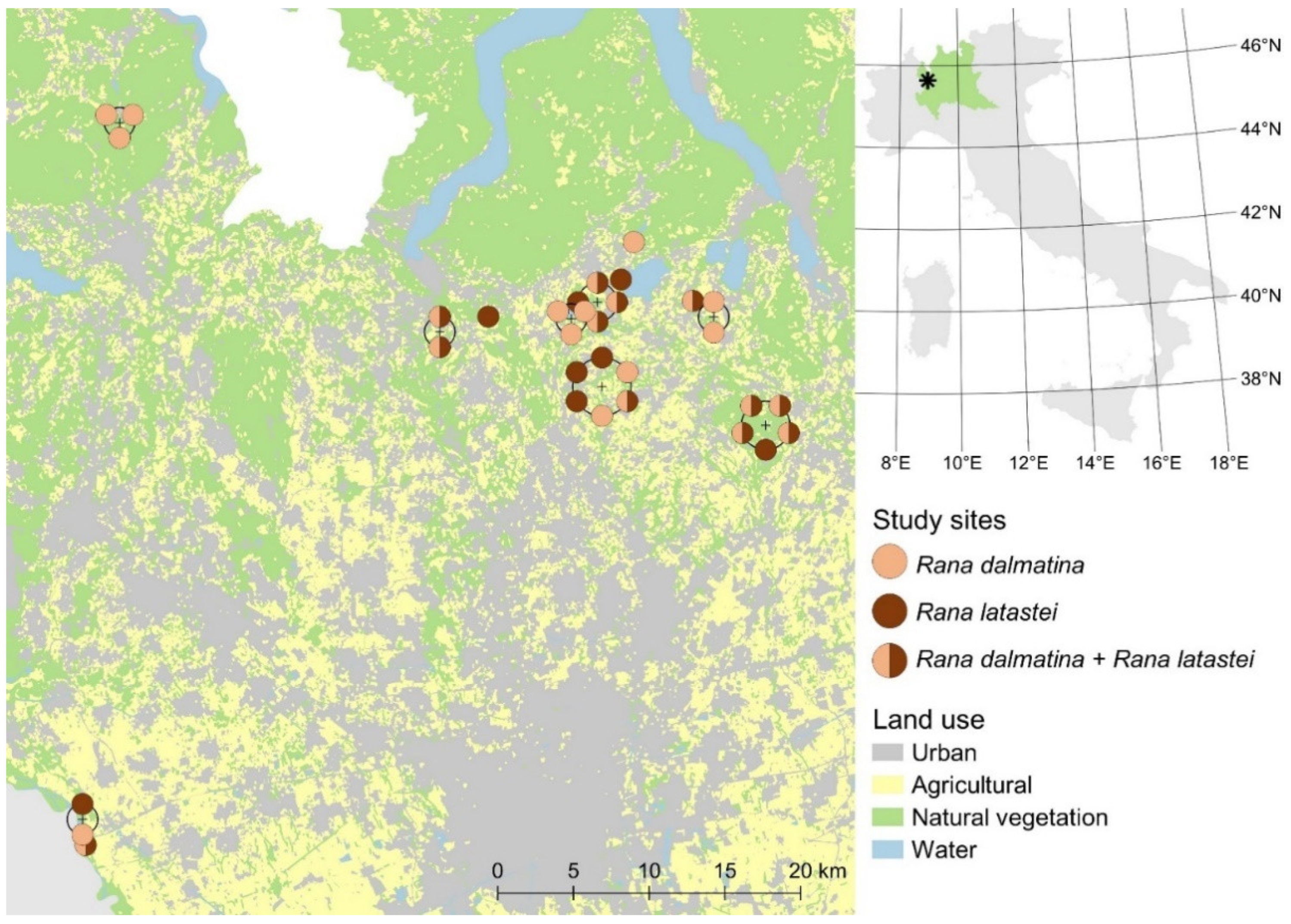 Animals 12 02085 g001