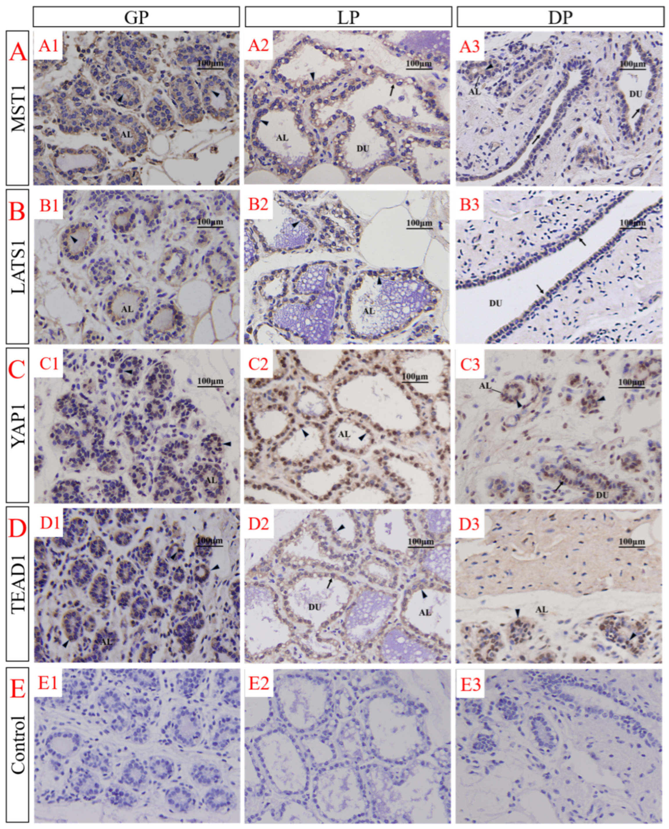 Animals 12 02103 g004