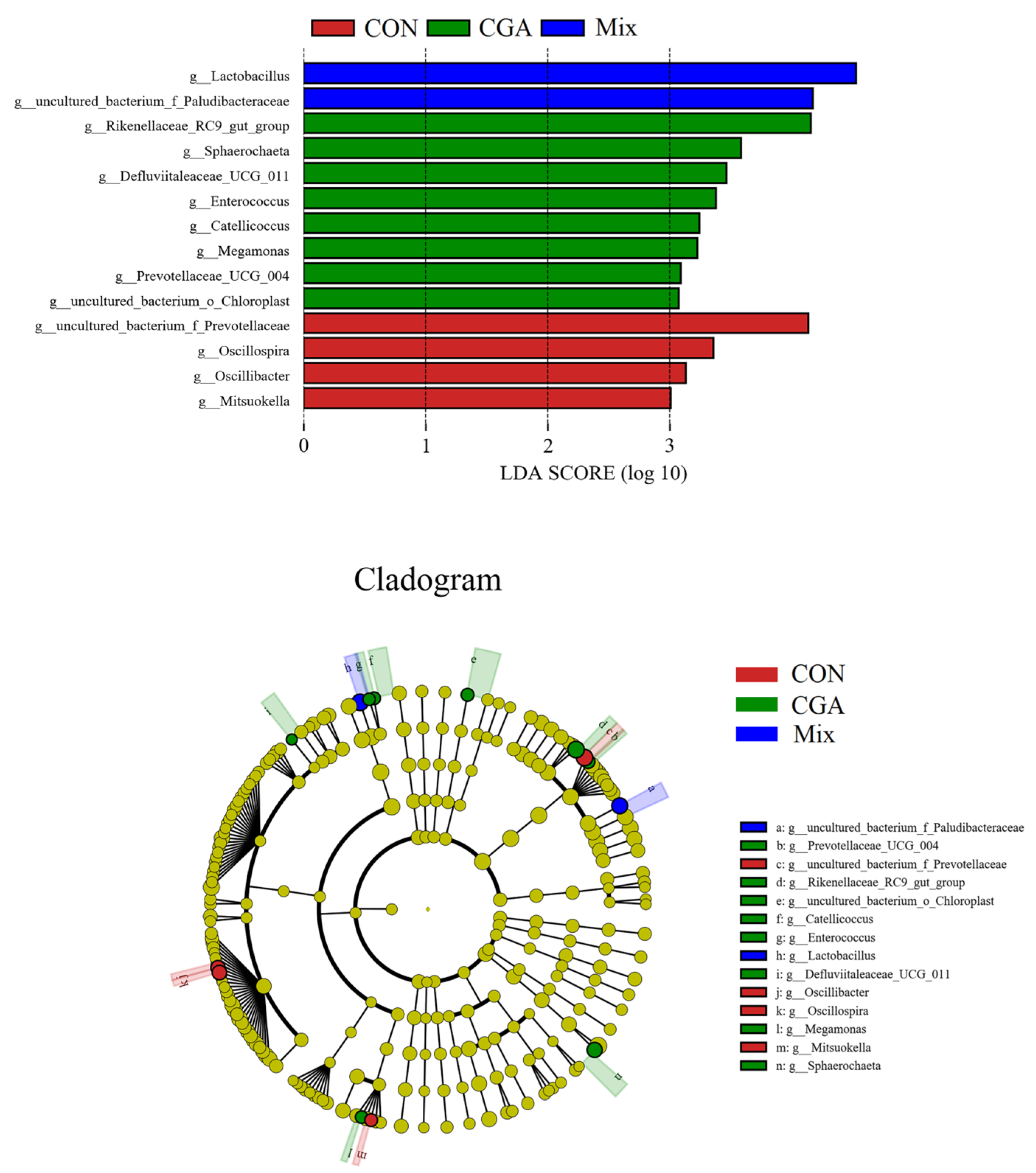 Animals 12 02109 g008