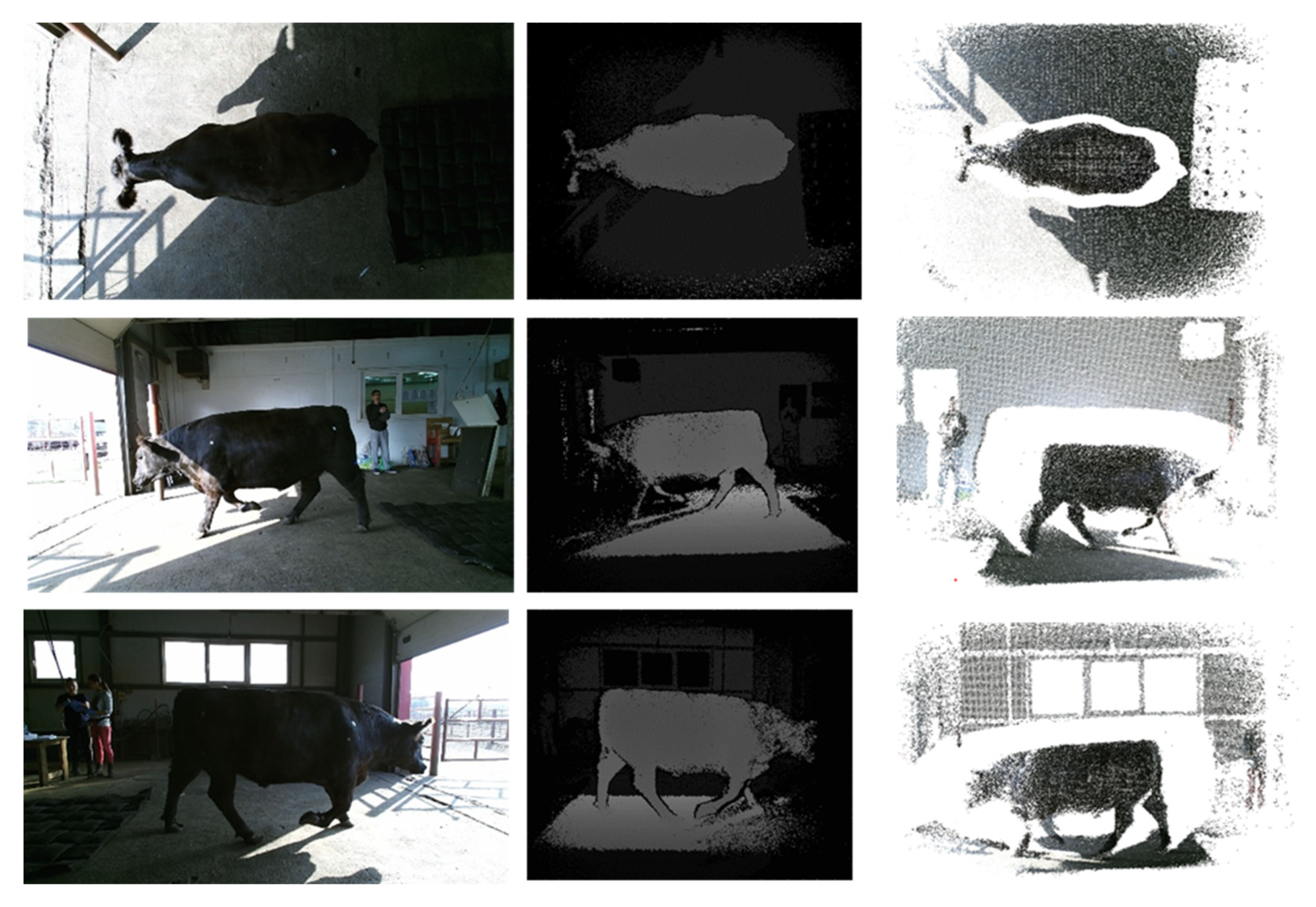 Animals 12 02128 g001