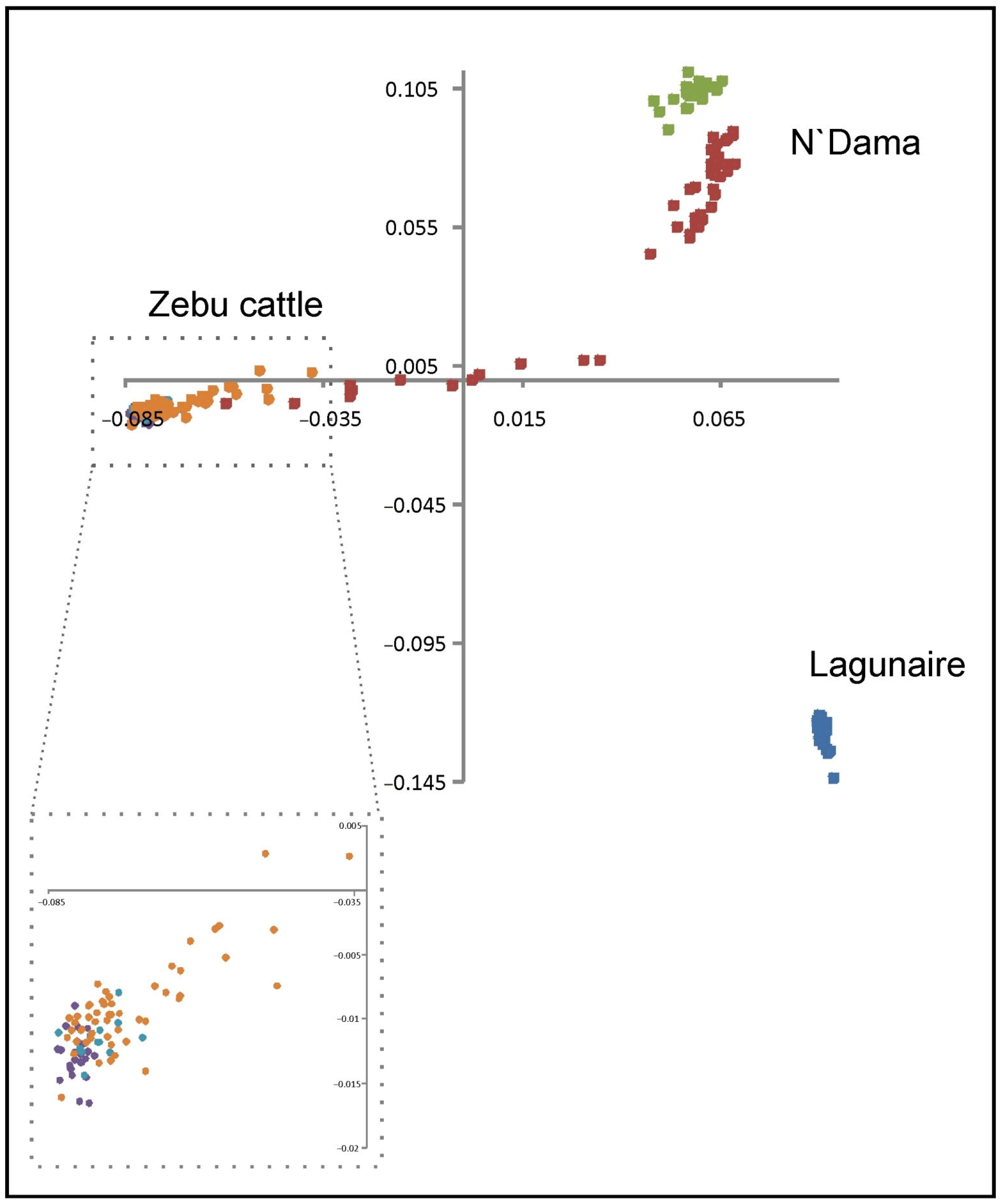 Animals 12 02130 g001
