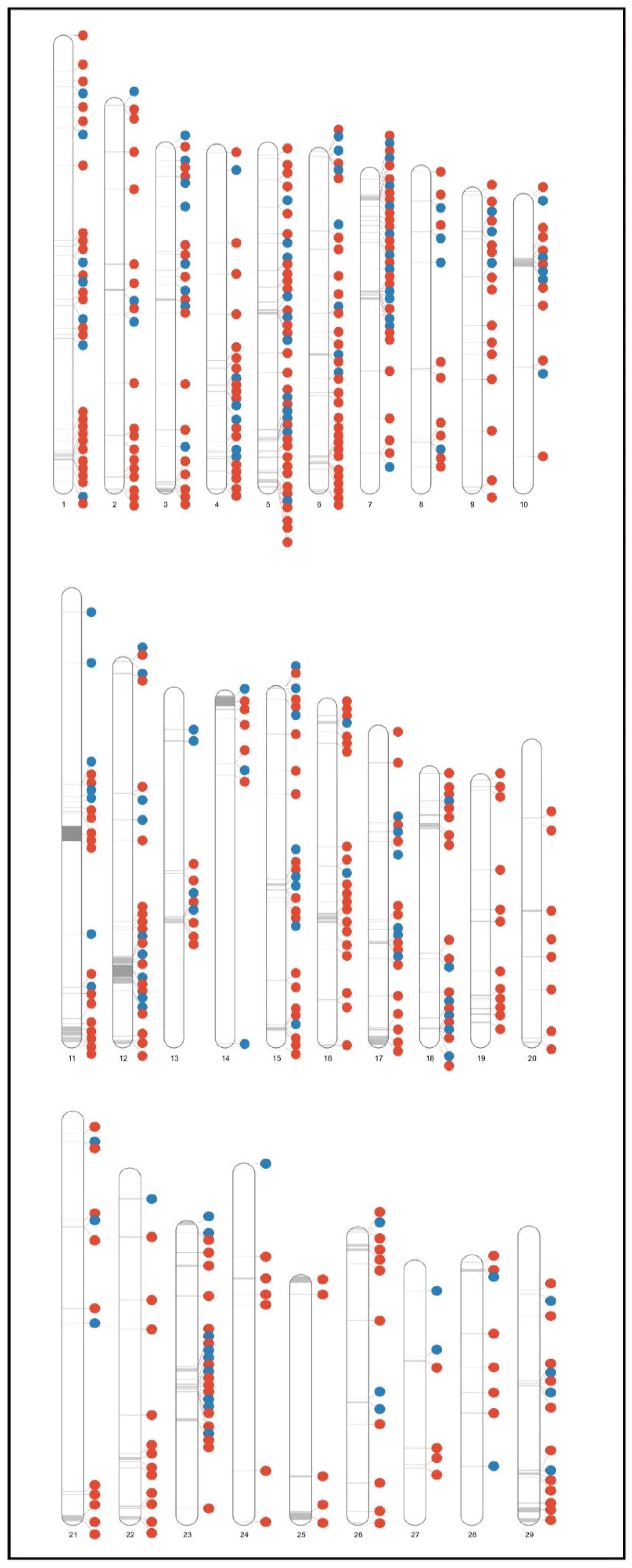 Animals 12 02130 g003
