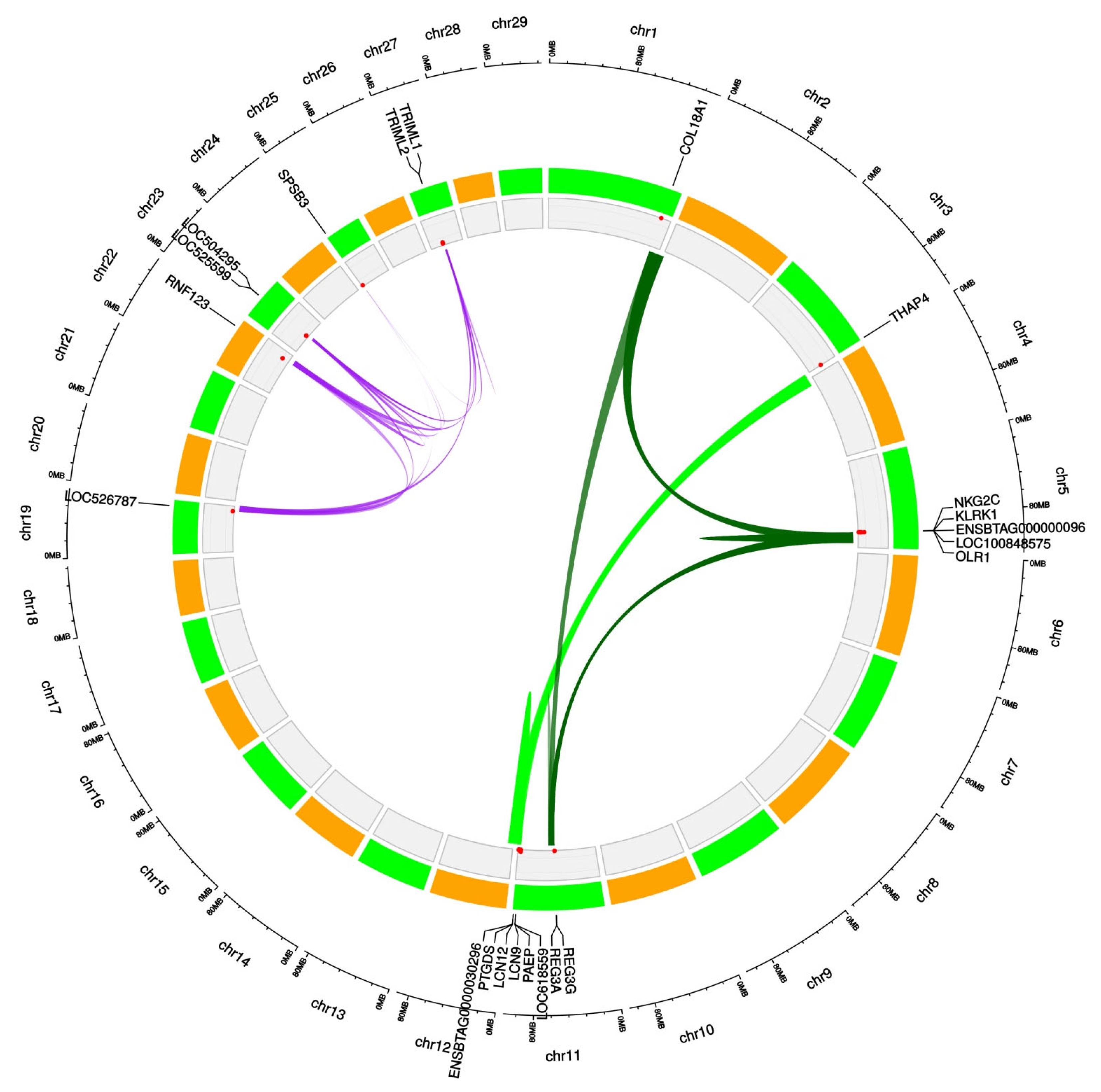 Animals 12 02130 g004