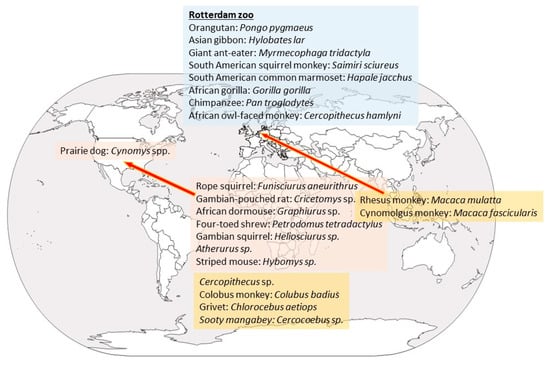 Dogs Getting Help to Deal with Pandemic Shifts (AUDIO STORY), by Reynolds  Sandbox, The Reynolds Sandbox