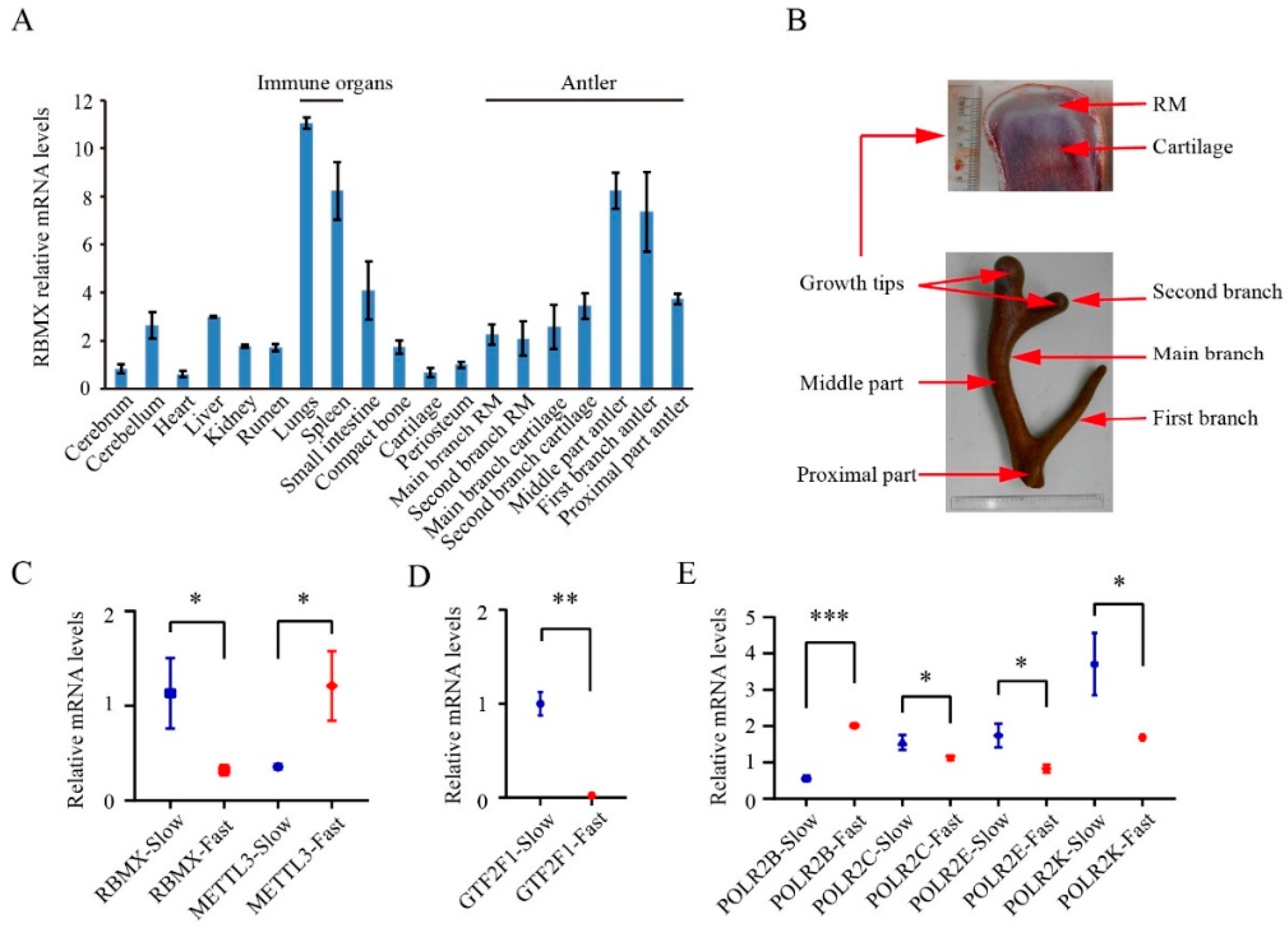 Animals 12 02203 g005