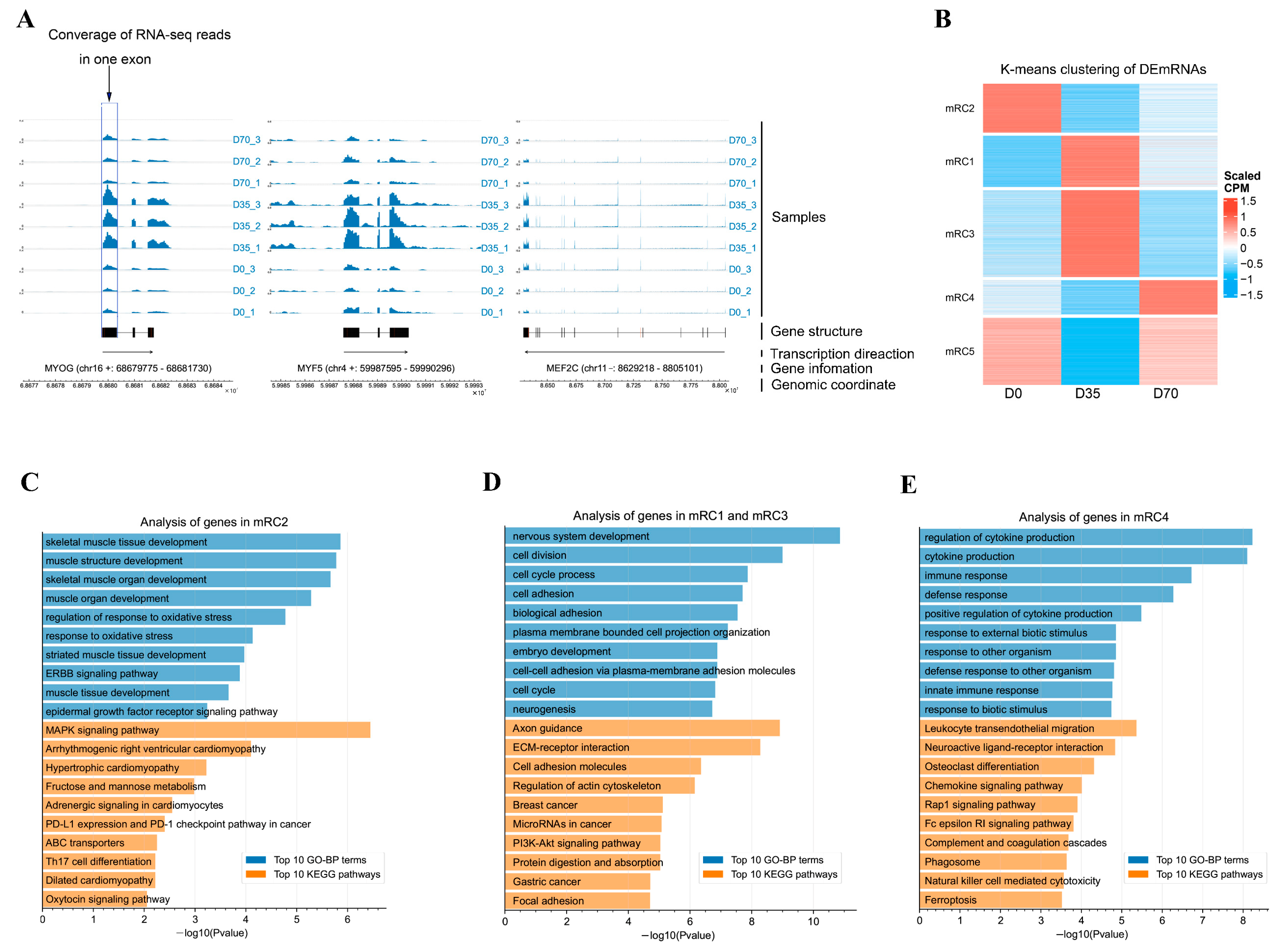 Animals 12 02208 g001