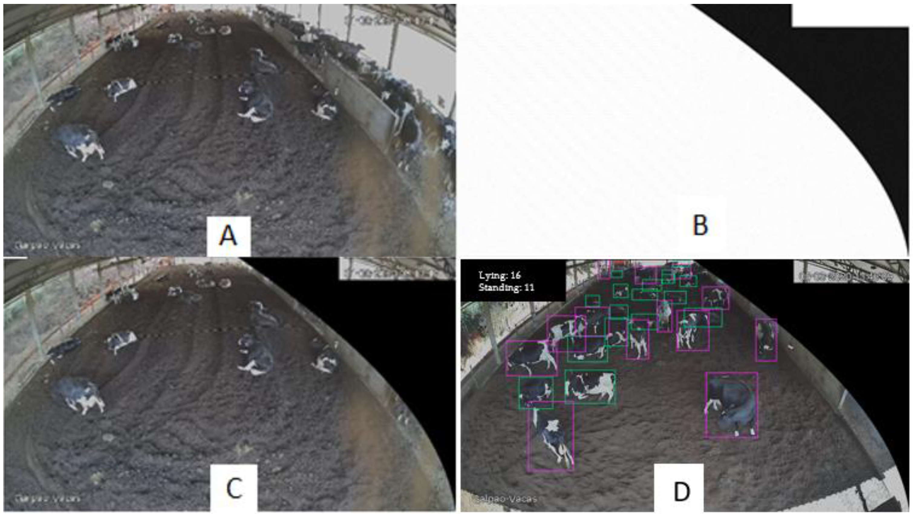 Animals 12 02214 g002 Animals 12 02214 g002