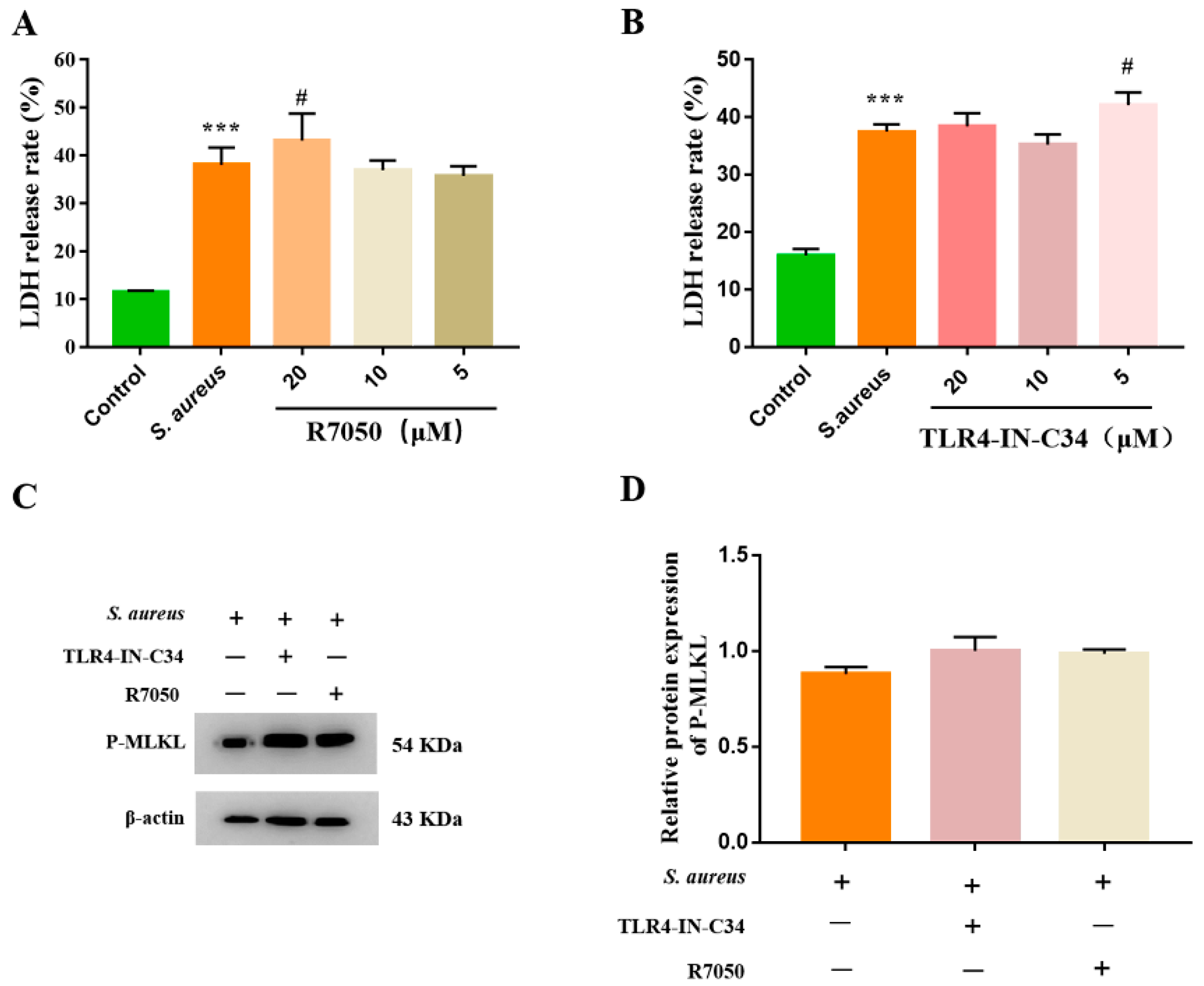 Animals 12 02218 g003