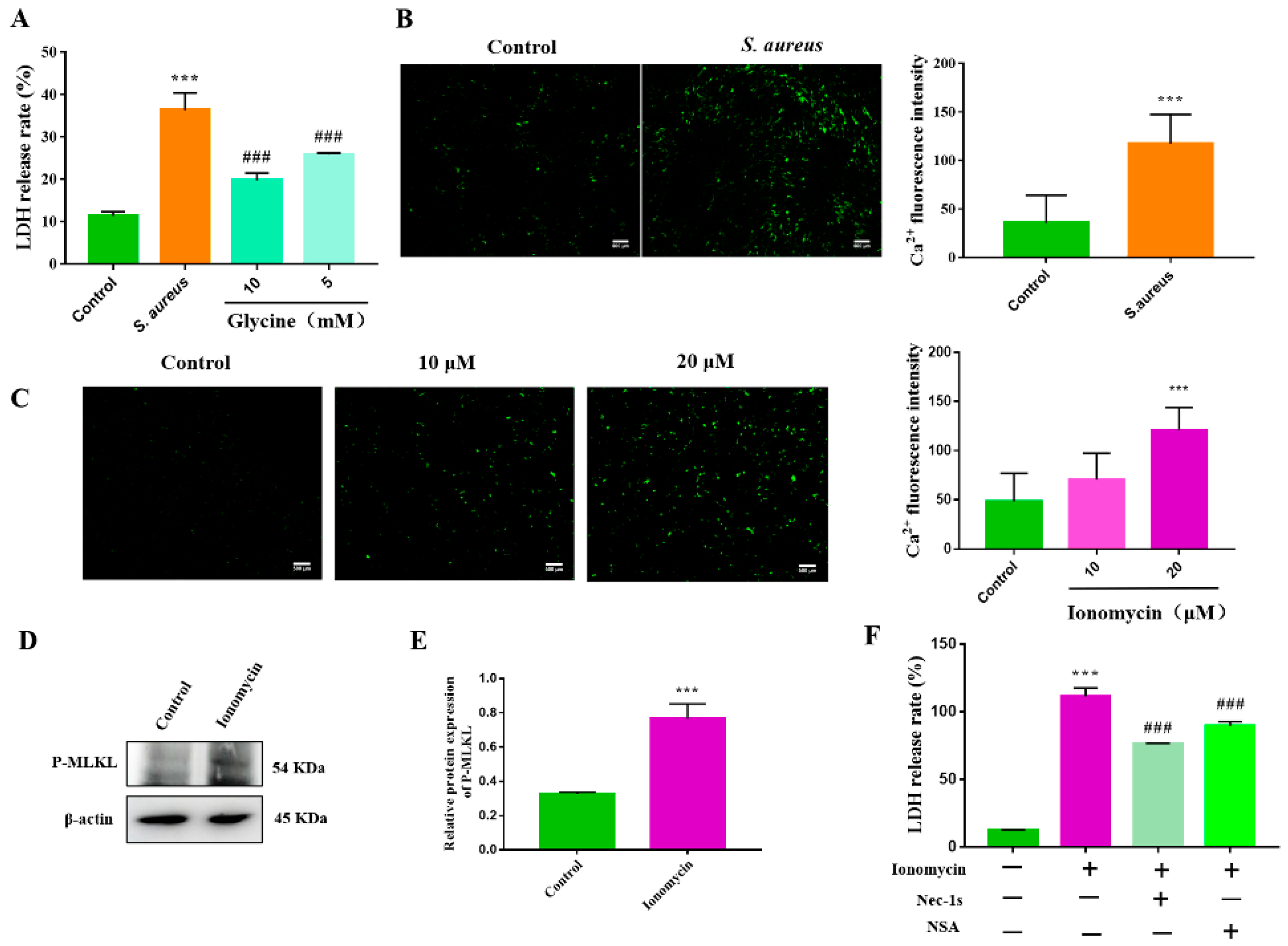 Animals 12 02218 g004