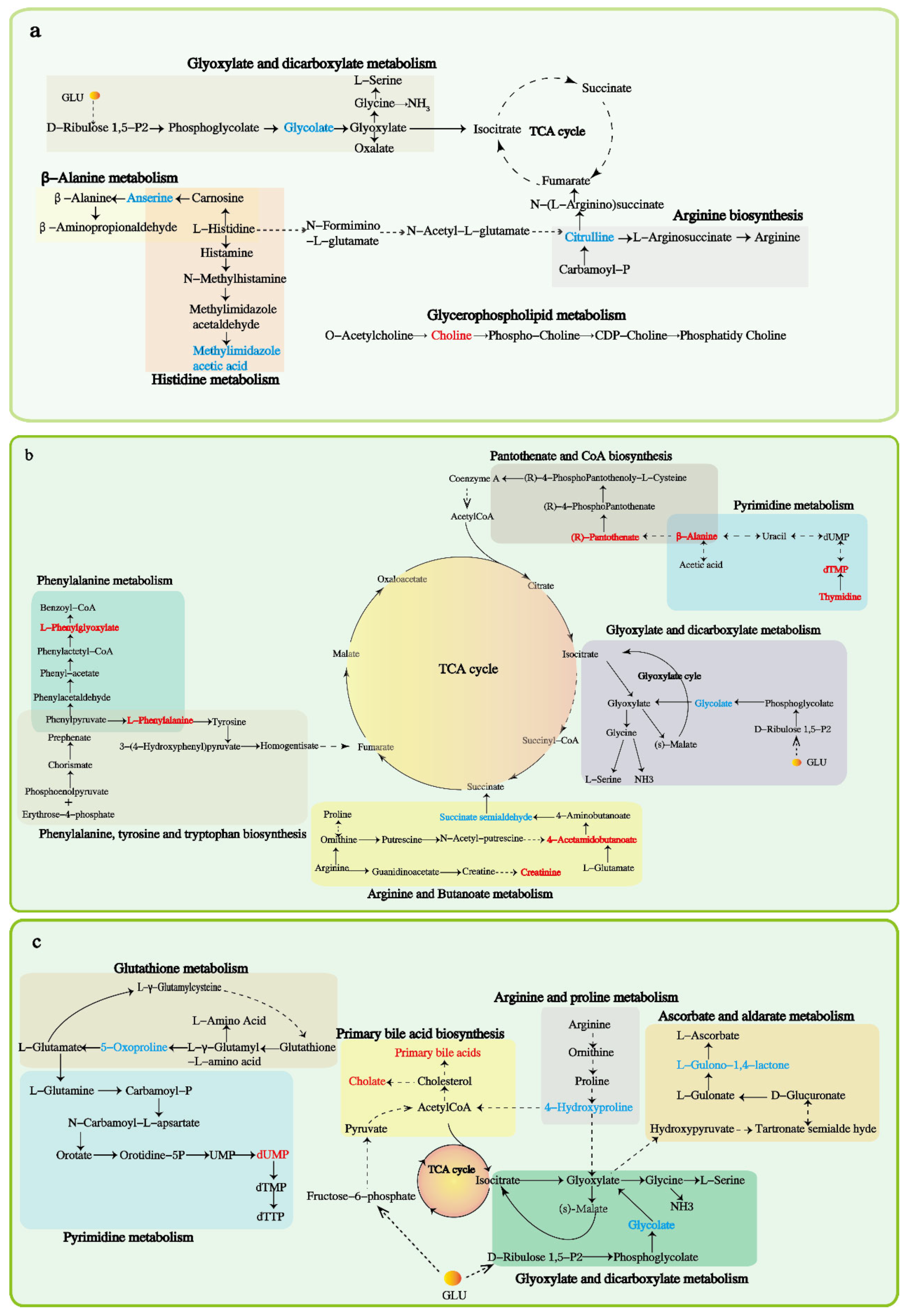Animals 12 02228 g006 Animals 12 02228 g006