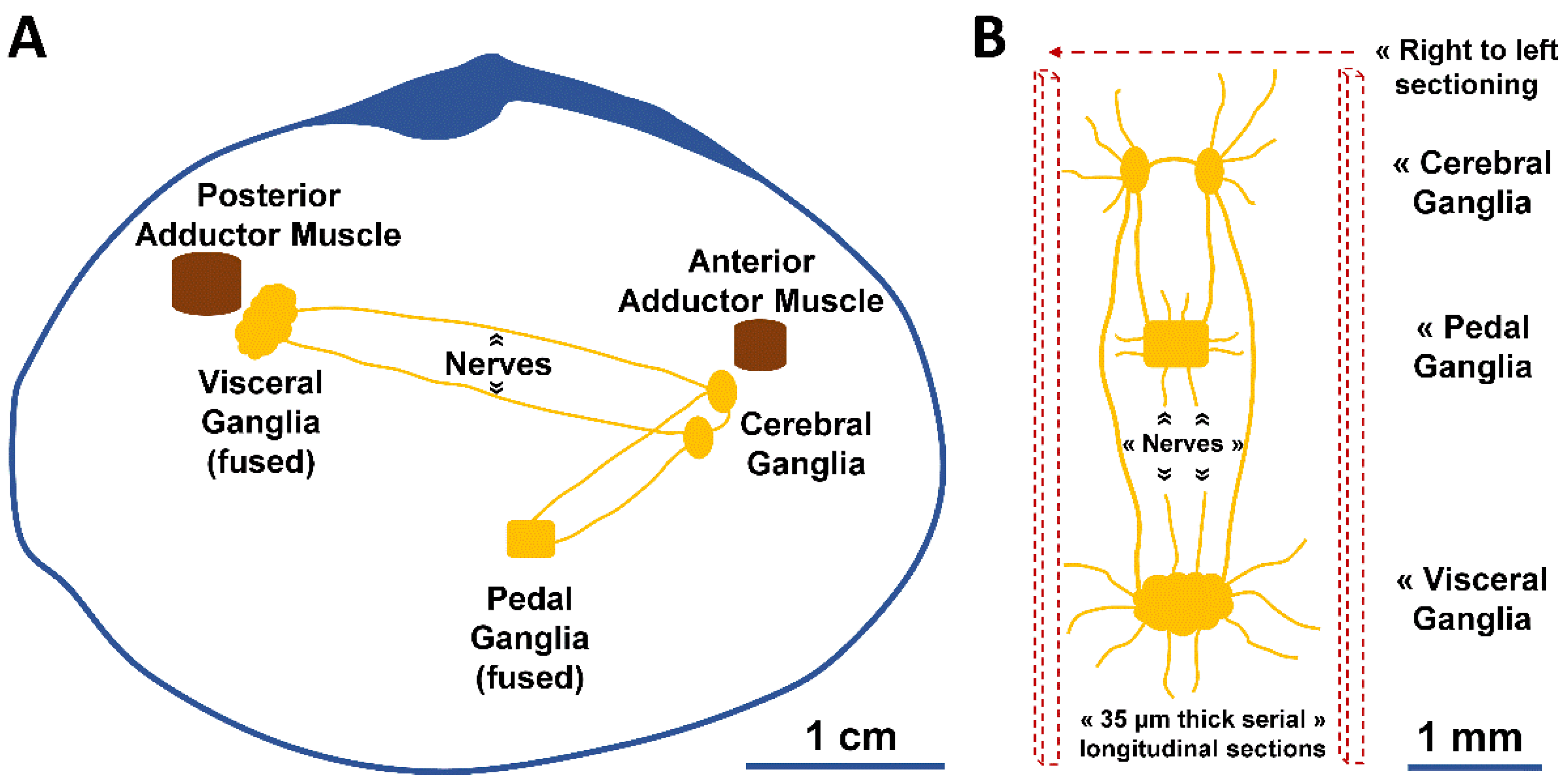 Animals 12 02248 g001 Animals 12 02248 g001